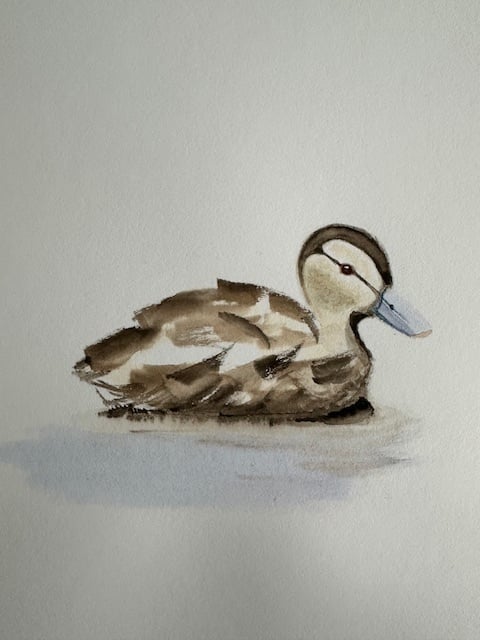Duckling Watercolor - image 1 - student project