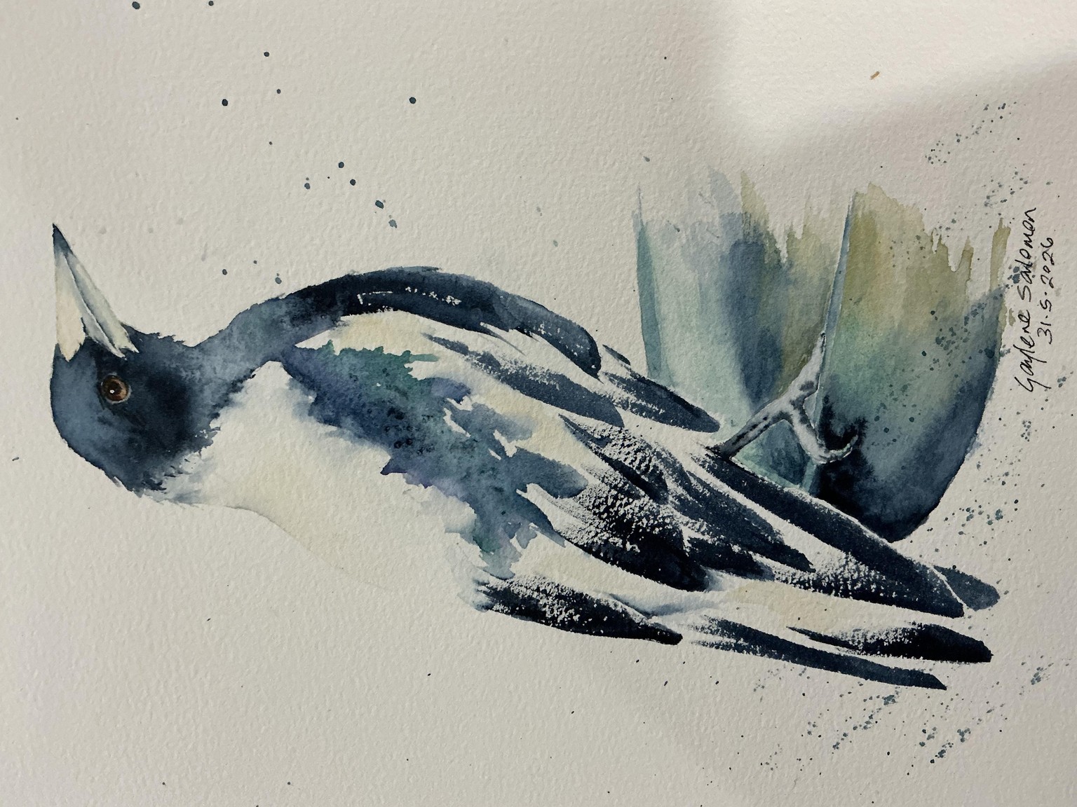 Magpie - image 1 - student project