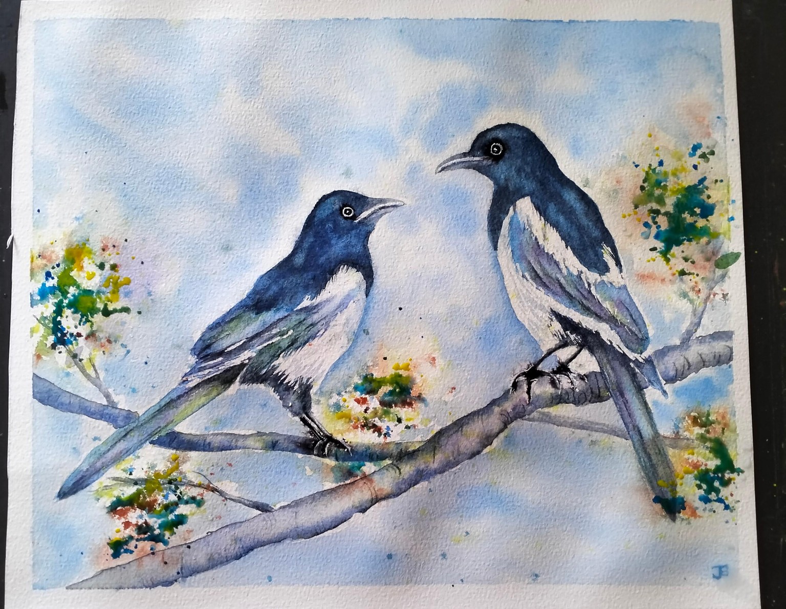 Magpies - image 1 - student project