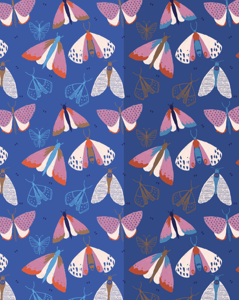 Moths in two colour swatches - image 1 - student project