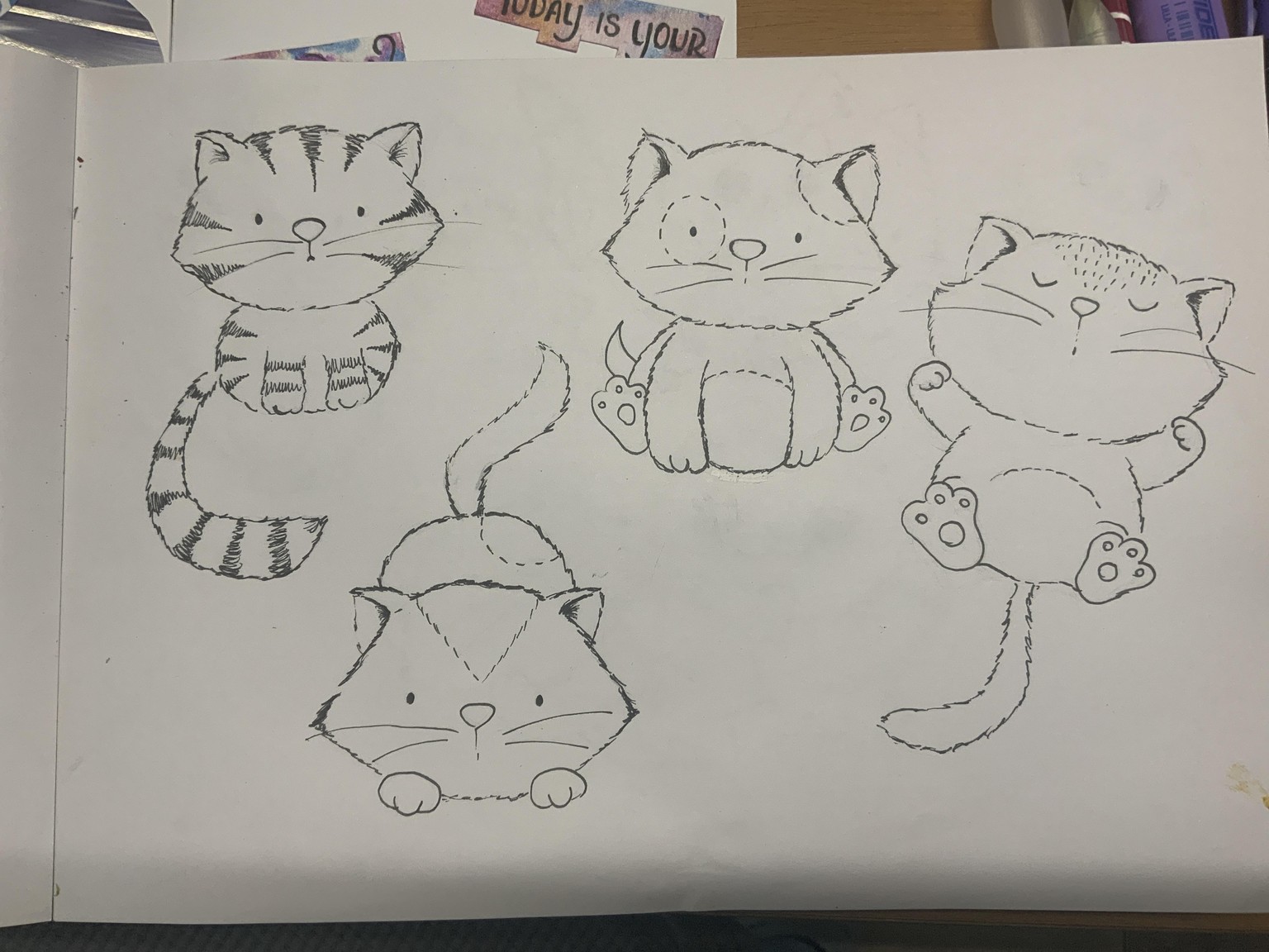 Drawing 7 cute cat poses - image 2 - student project