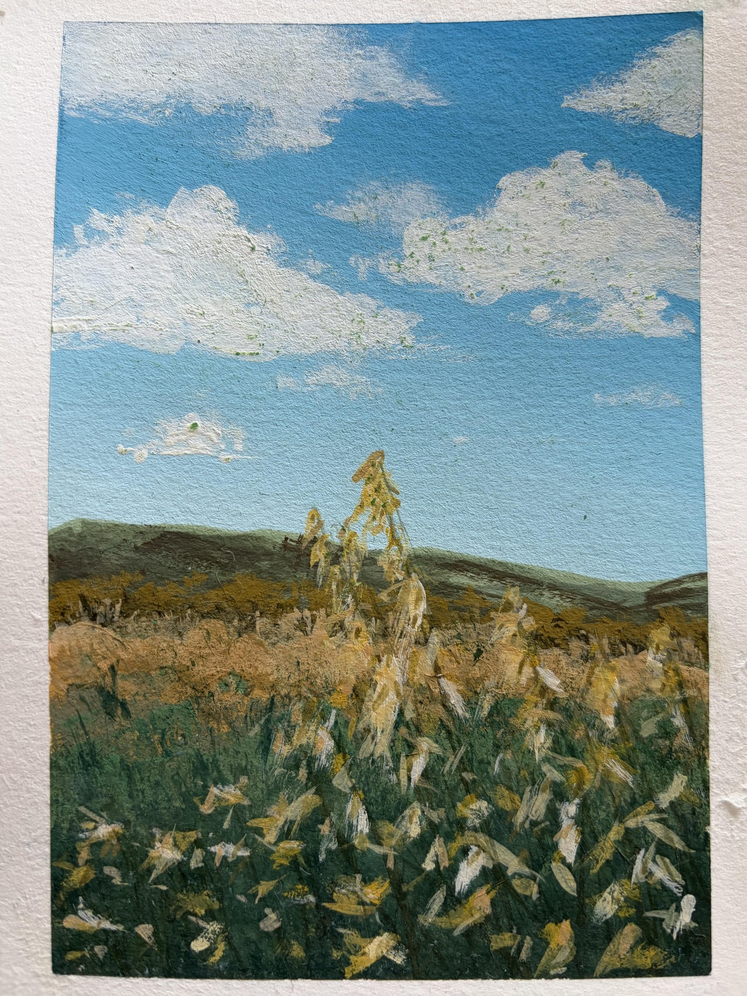 Prairie Grasslands in Gouache - image 2 - student project