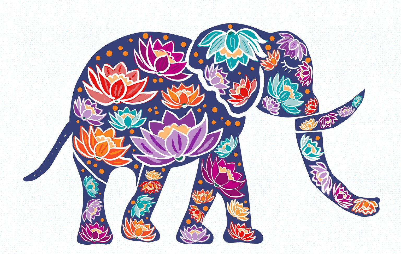 Elephant fun! - image 1 - student project