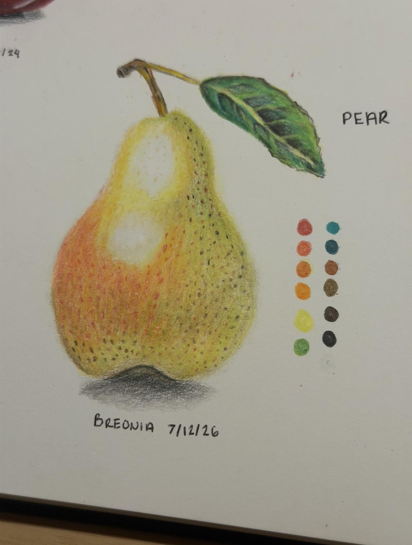 My Pear - image 1 - student project