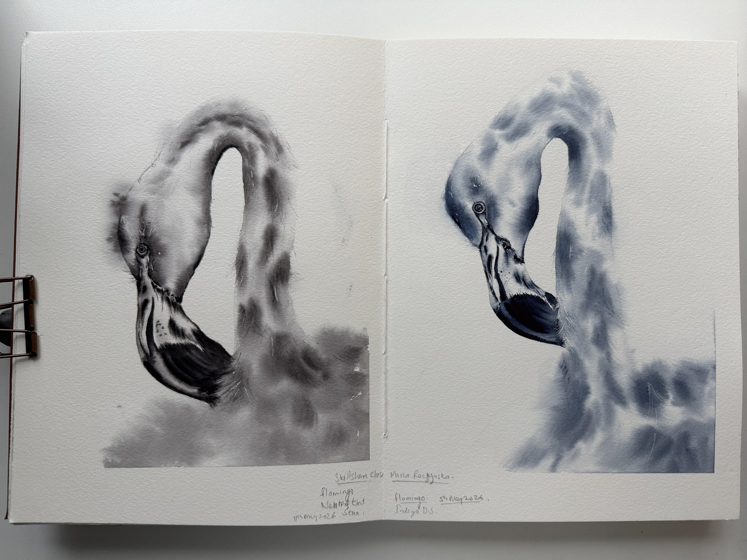 Painting birds in Monochrome - The magic of single color - image 2 - student project