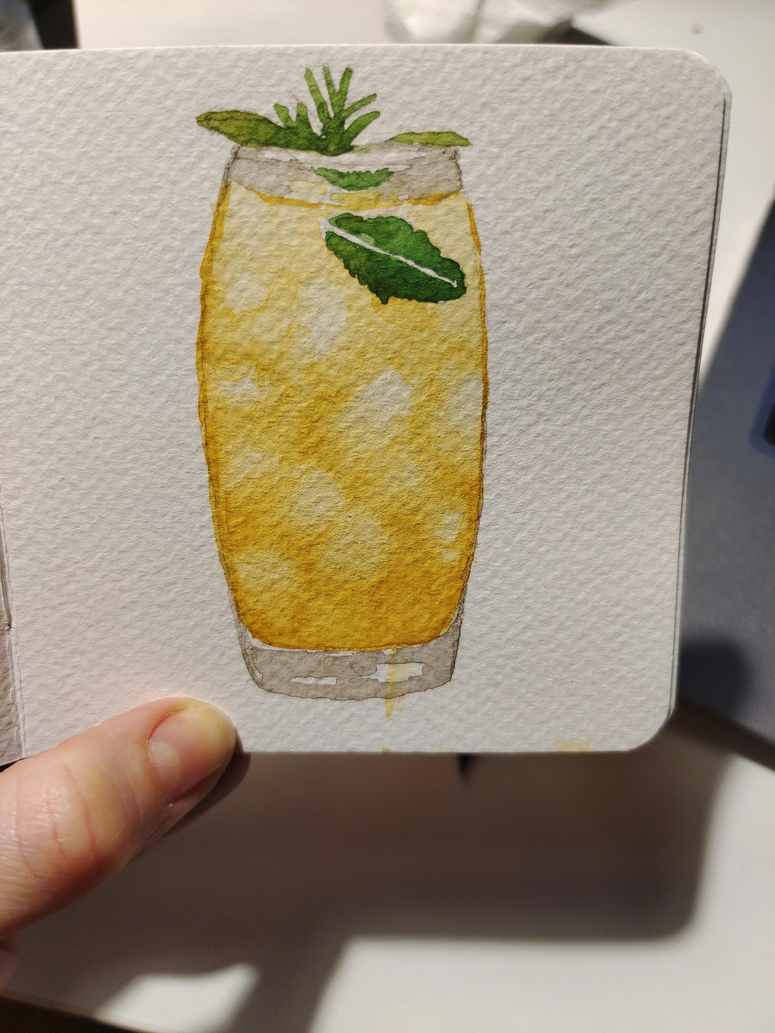Fruity Iced Drinks - image 1 - student project