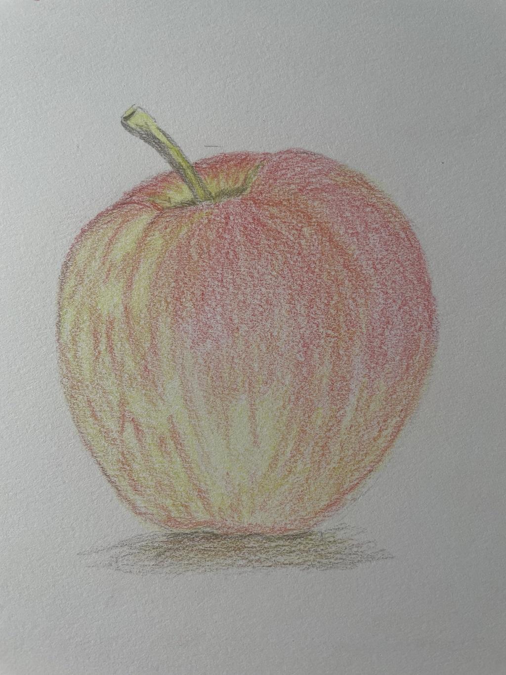 Apfeli / Watercolor pencils - image 2 - student project