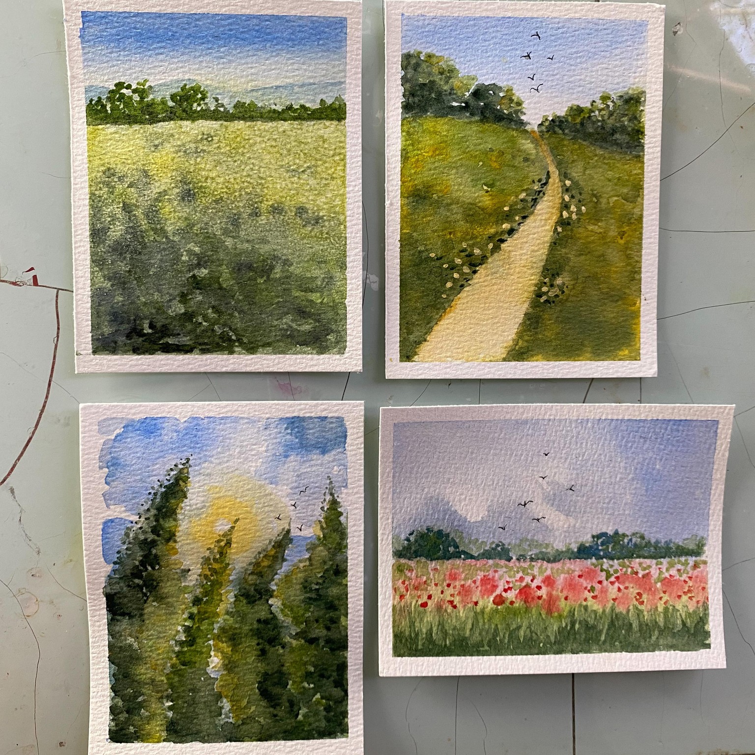 Spring Landscapes - days 1-7 - image 1 - student project
