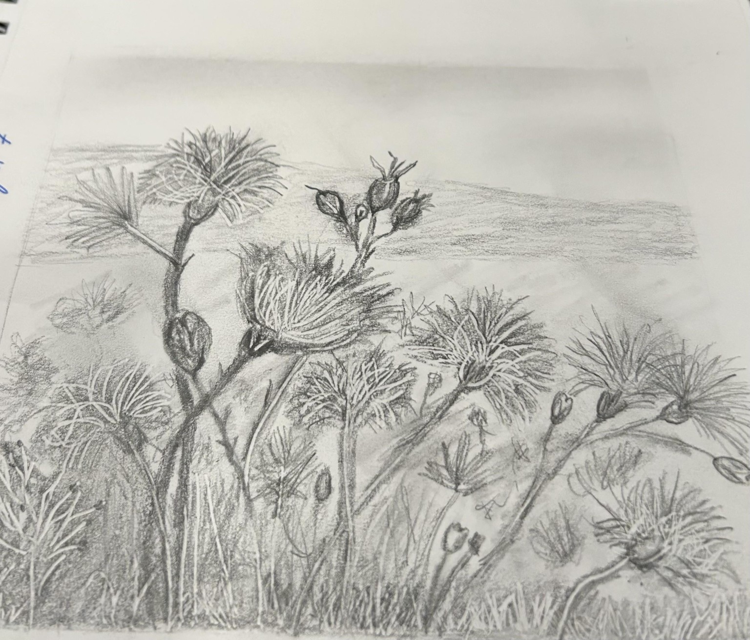 Landscapes - image 7 - student project