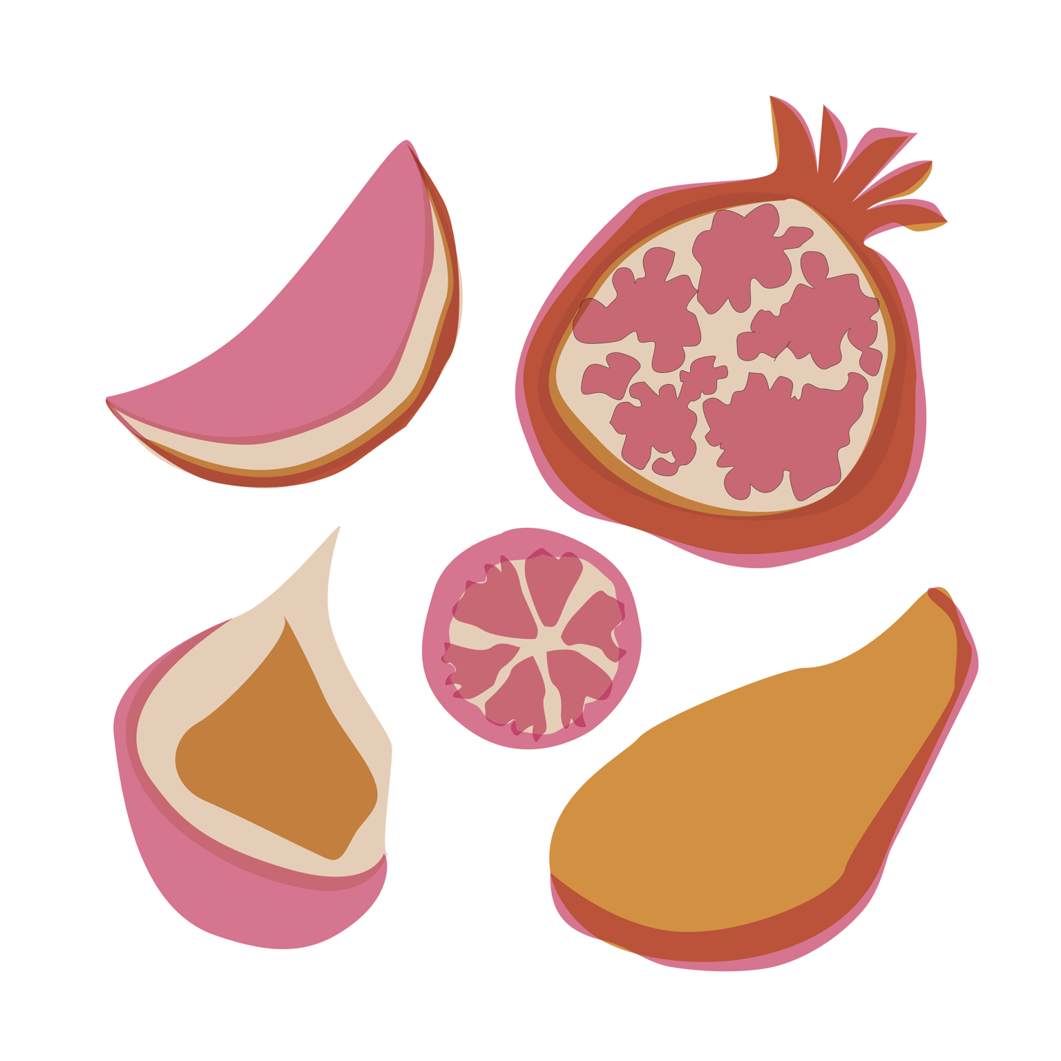 Fruits - image 2 - student project