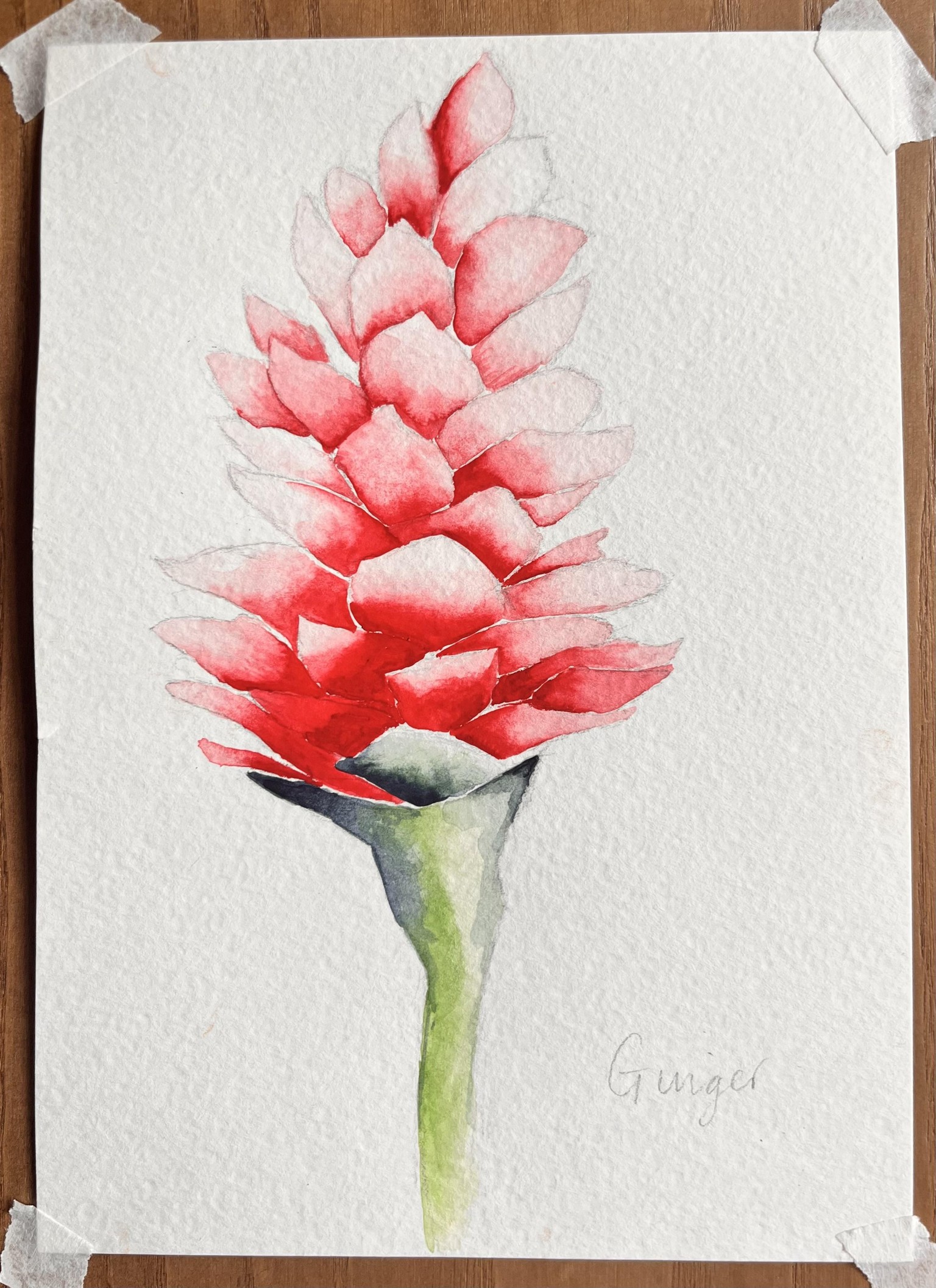 Tropical Plants and Flowers - image 5 - student project