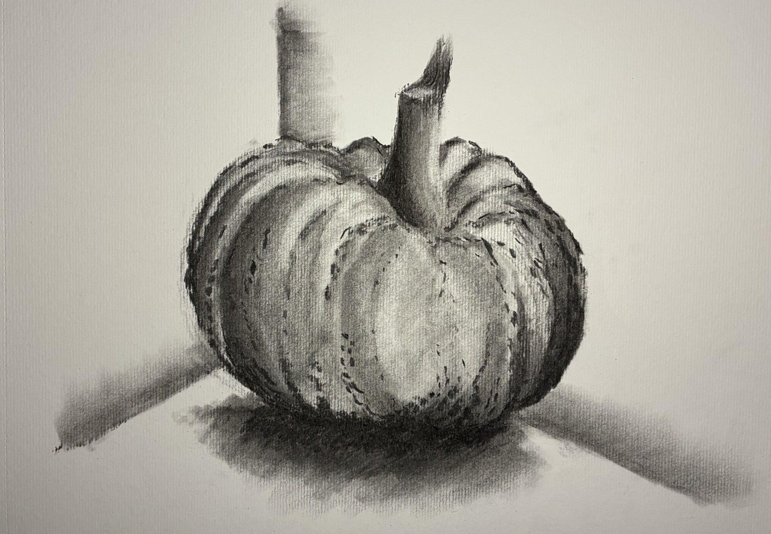 Learning Charcoal - Pumkin Practice - image 4 - student project