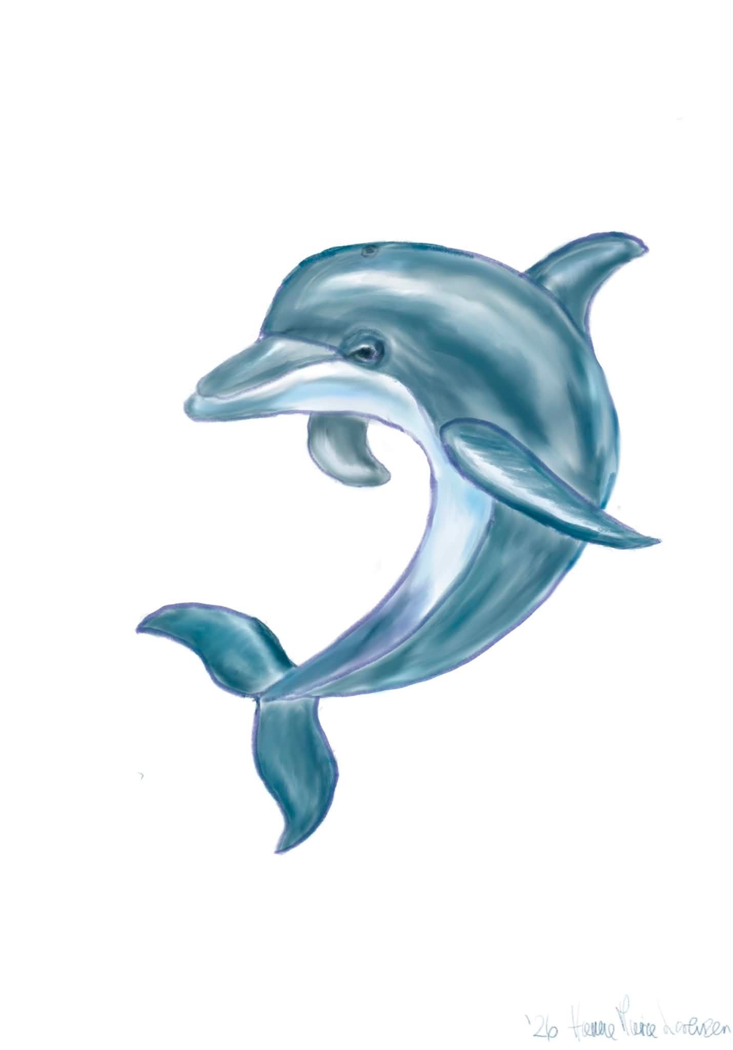 Dolphin - image 1 - student project