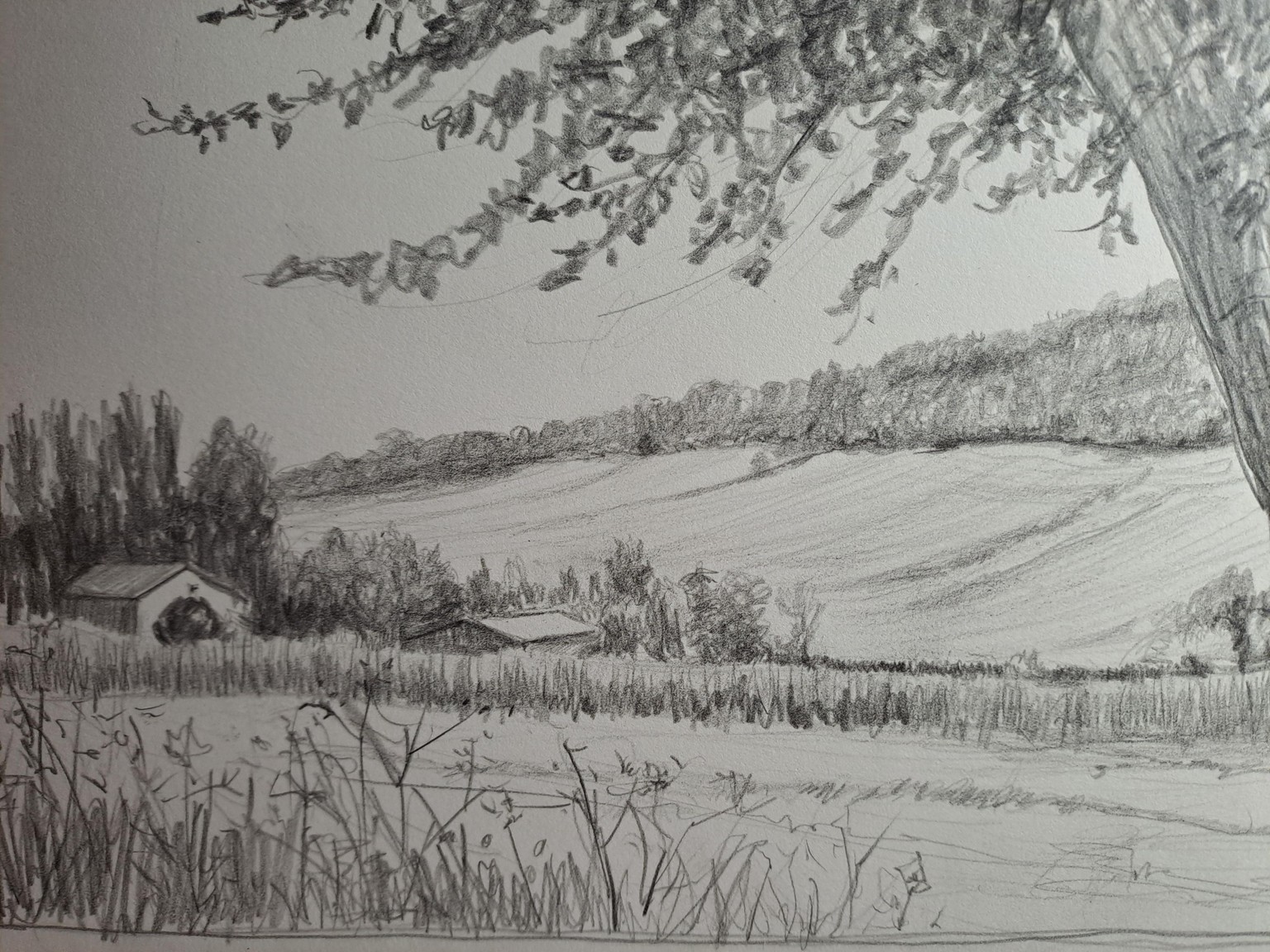 10 days of landscape sketching - image 4 - student project