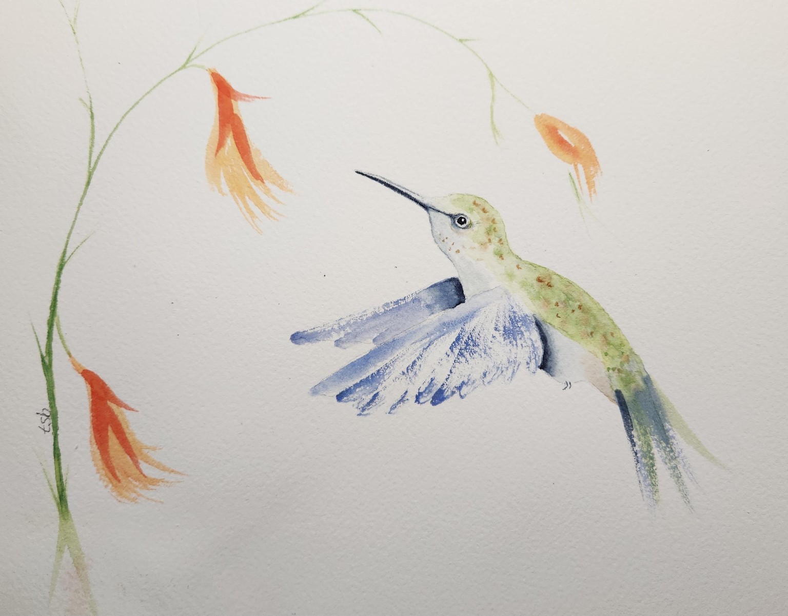 Hummingbird w Nadine - image 2 - student project