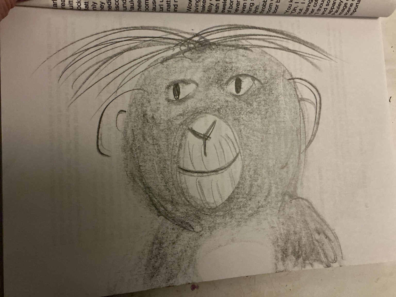 Monkey - image 1 - student project