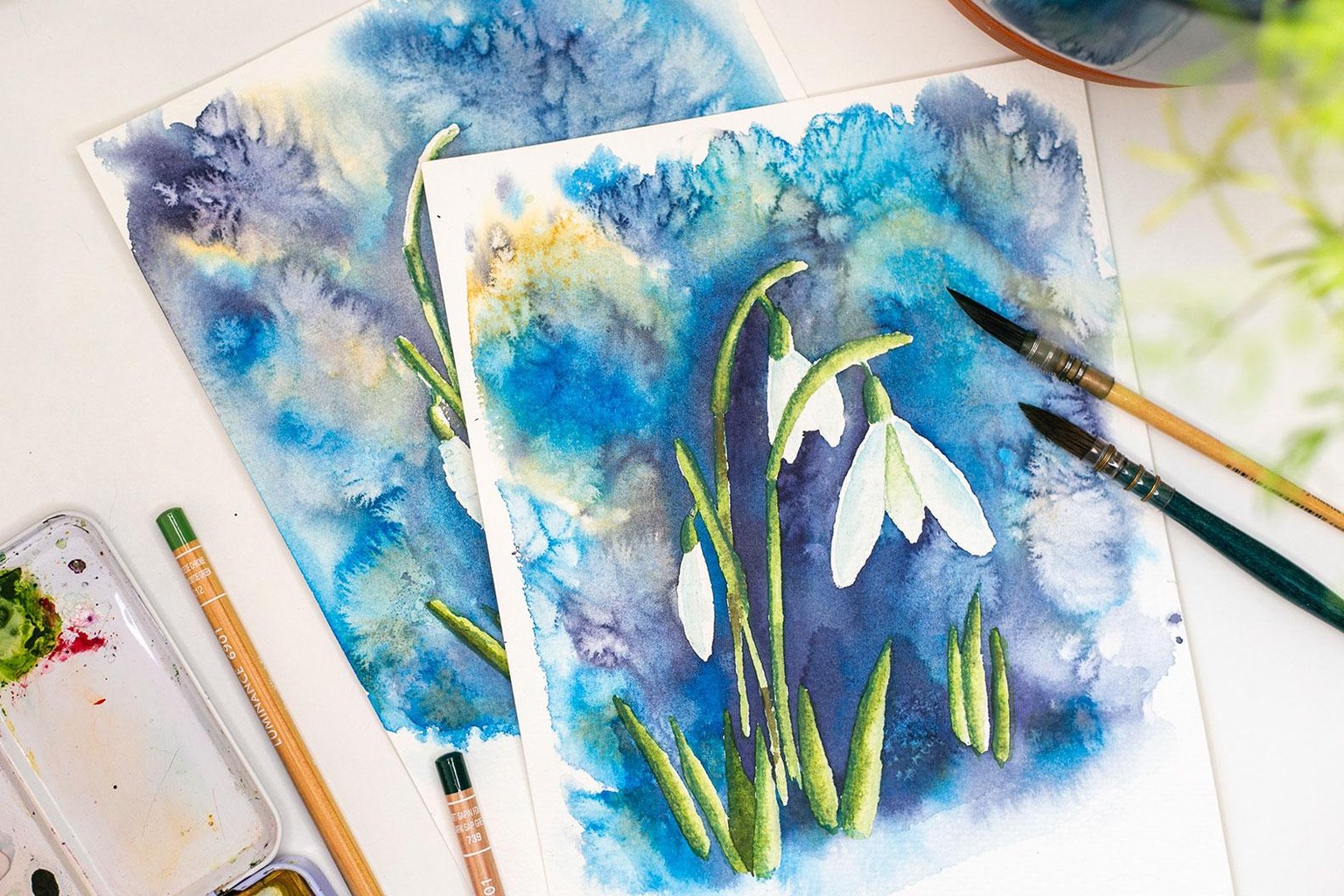 Watercolor Primroses - image 1 - student project