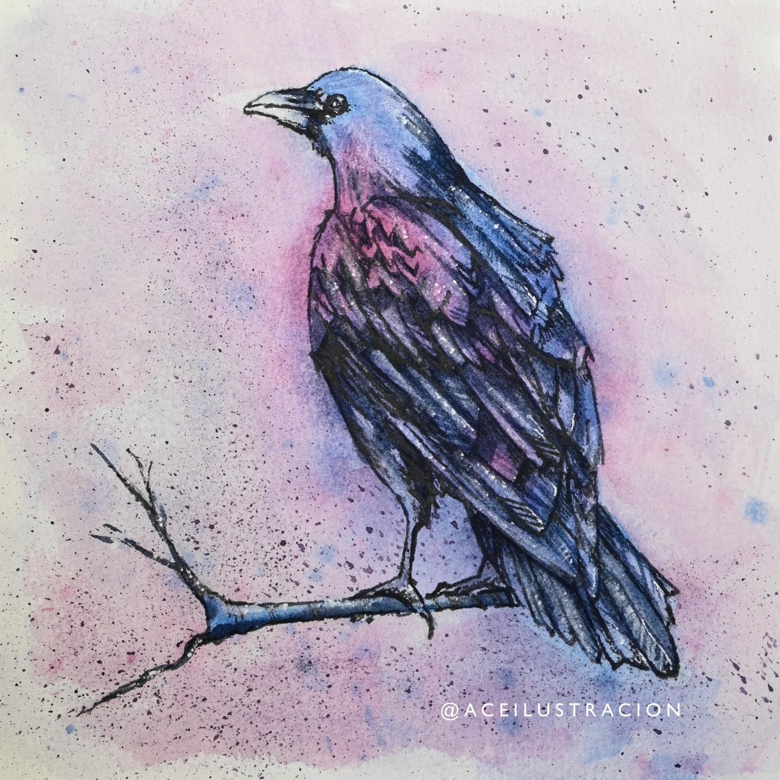 Raven - image 2 - student project