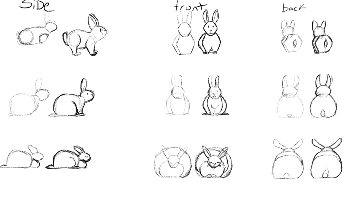 Bunny Drawing - image 1 - student project