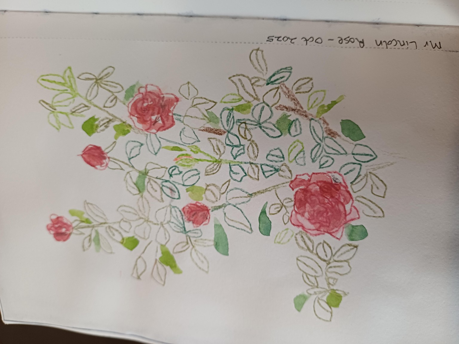 Not daily, but often! - image 2 - student project