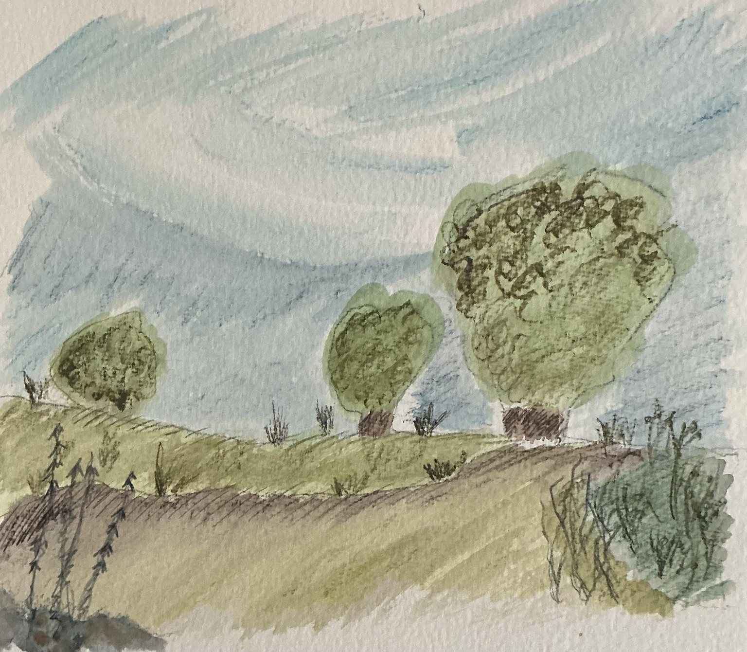 Landscape - image 1 - student project