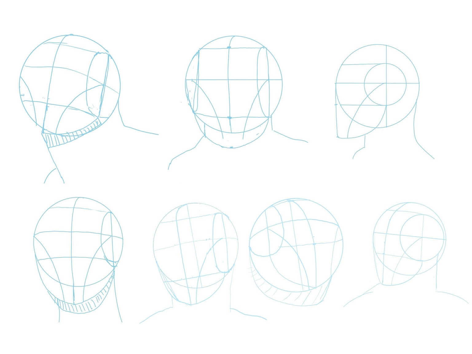 Loomis Heads - image 1 - student project