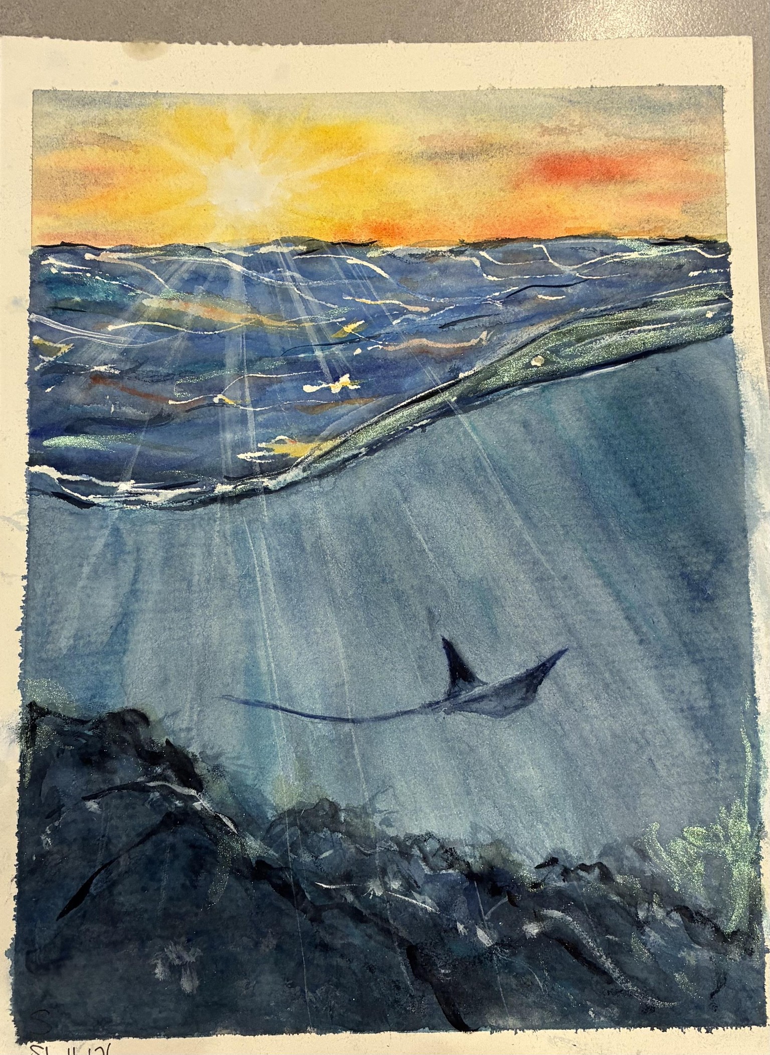Underwater waves and light with manta ray - image 2 - student project