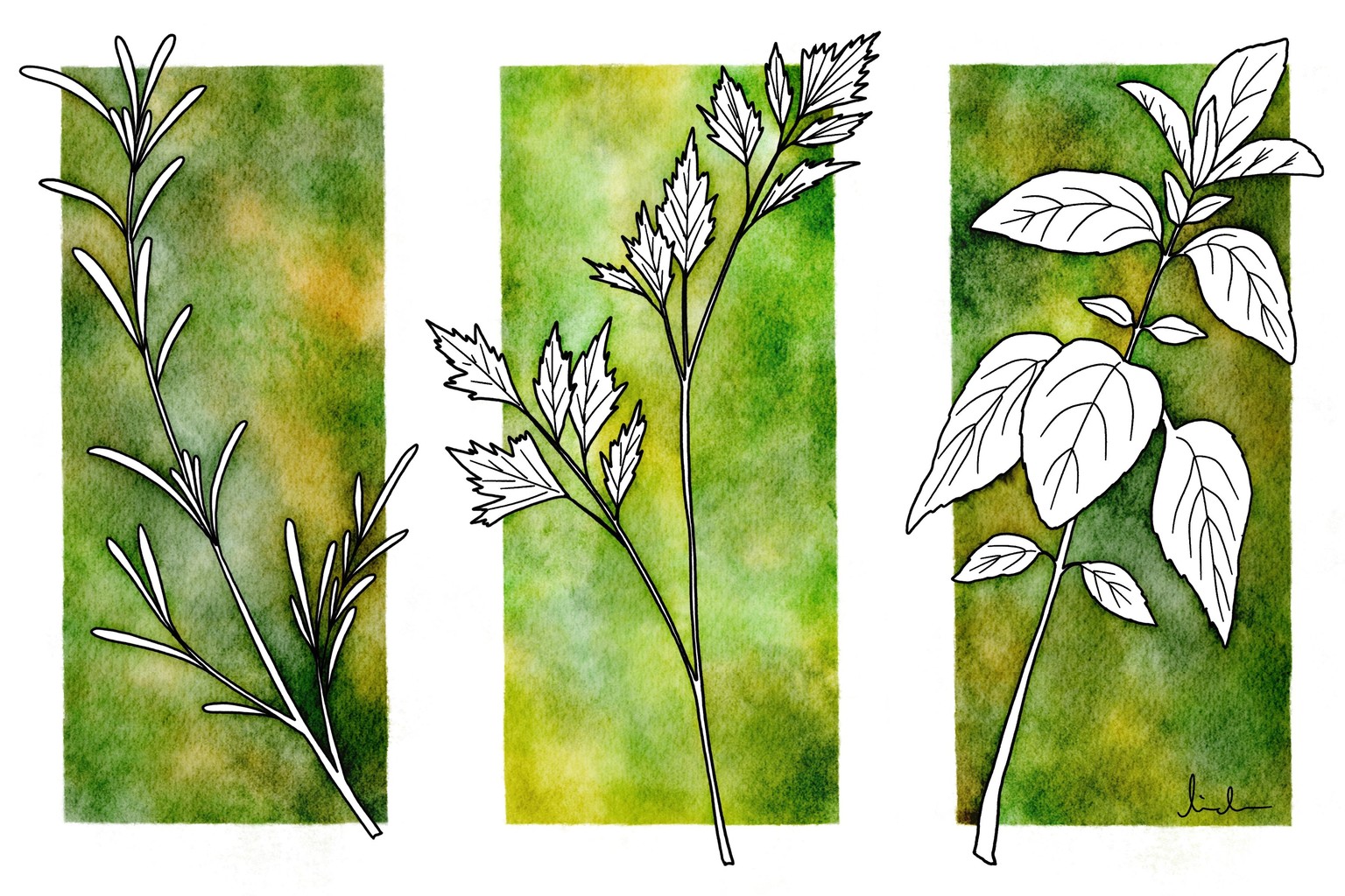 Advanced negative watercolor - image 4 - student project