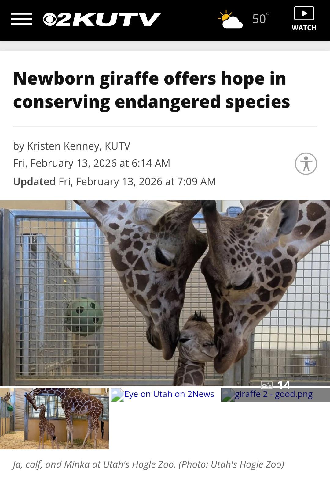 Giraffe - image 1 - student project
