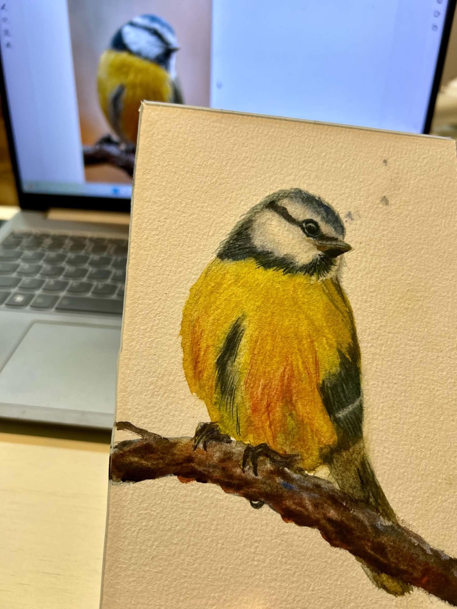 painting birds projects - image 6 - student project