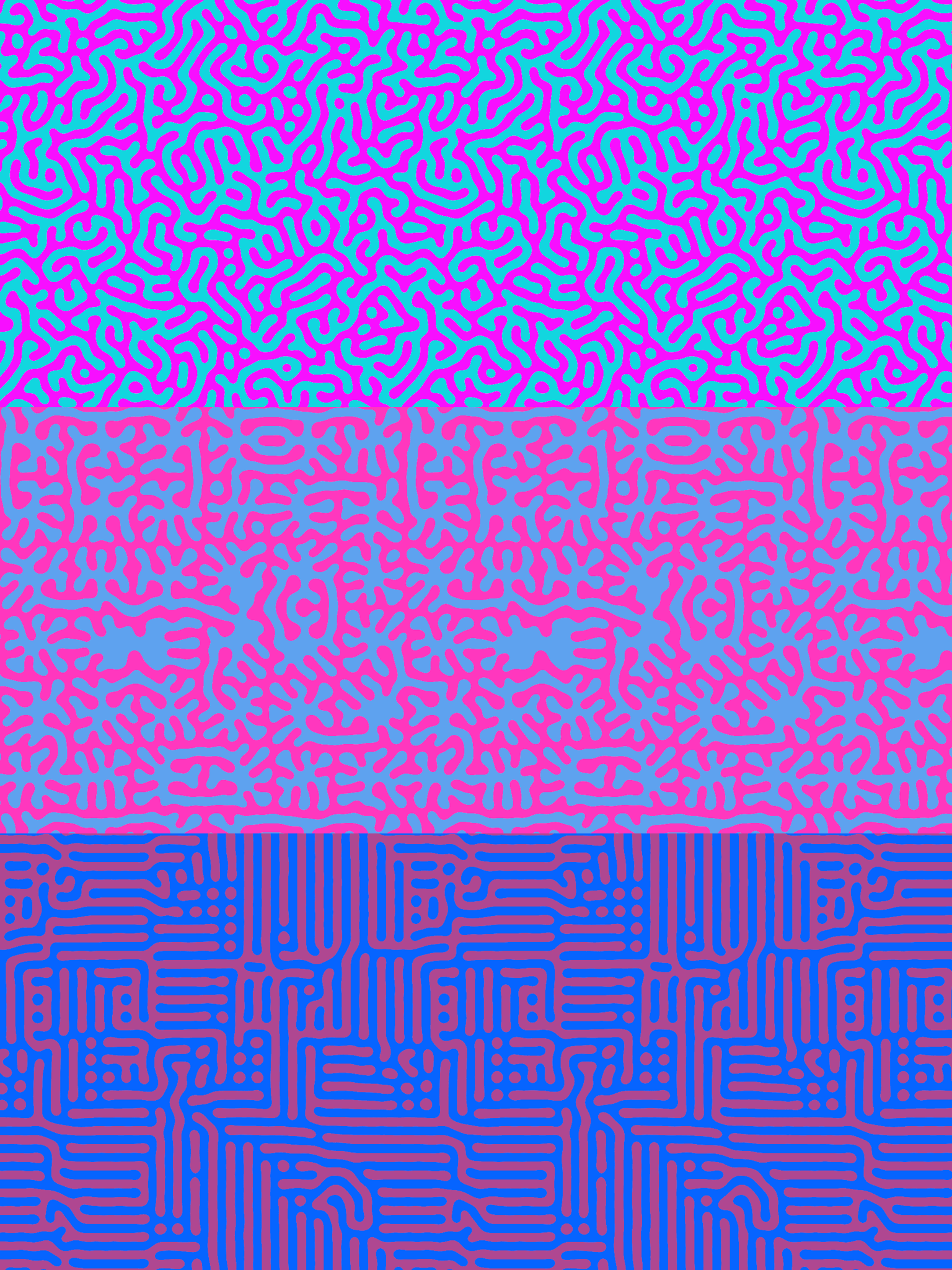 Turing Patterns - image 1 - student project