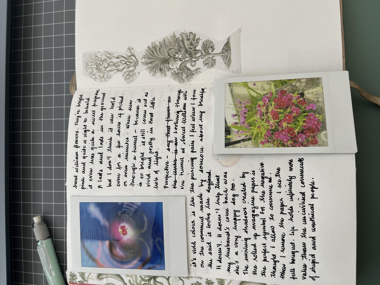 Unlock Your Creativity With Photography and Writing - image 5 - student project