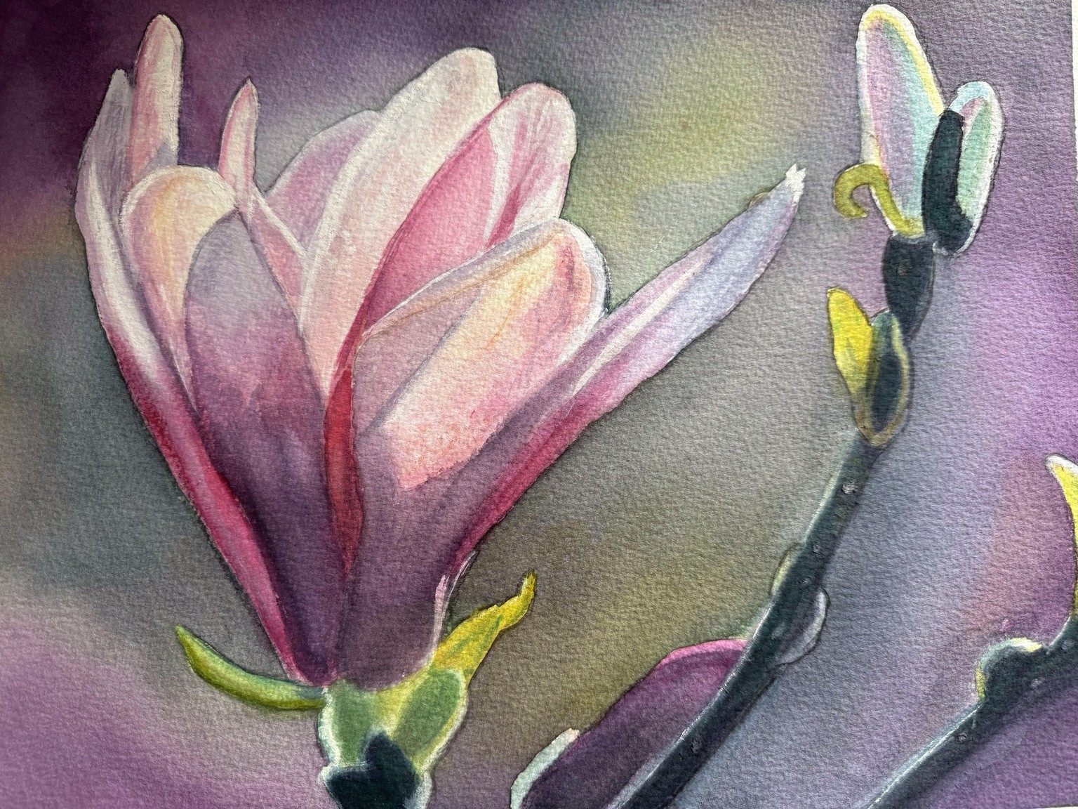 Trish magnolia - image 1 - student project