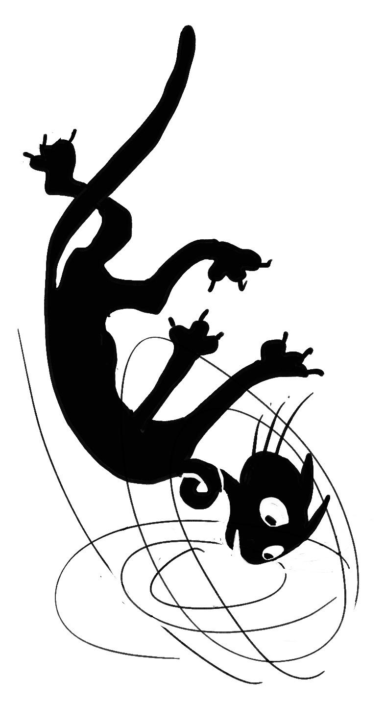 Cat Correcting for a Fall - image 1 - student project
