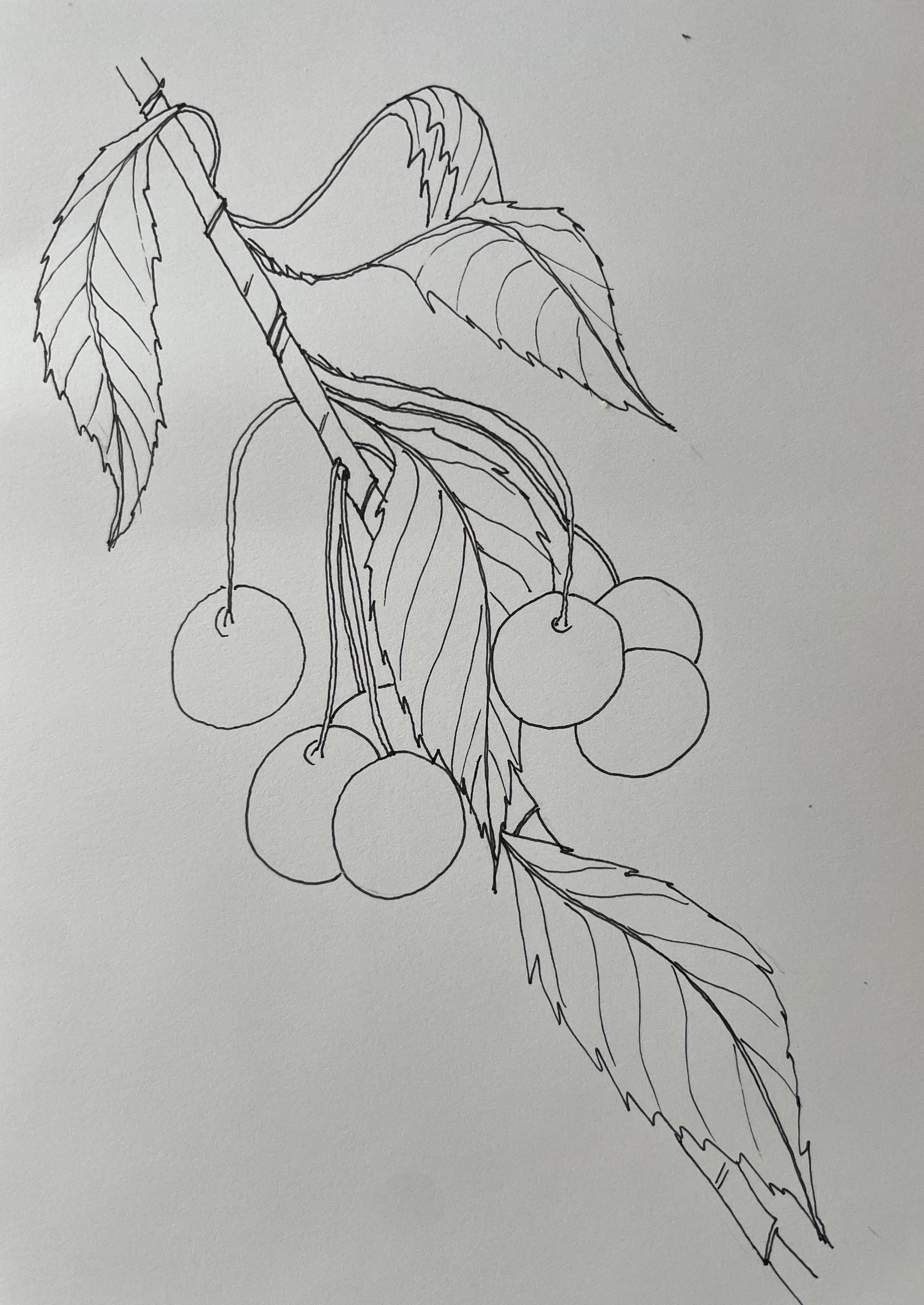 Markers - expressive fruits - image 5 - student project