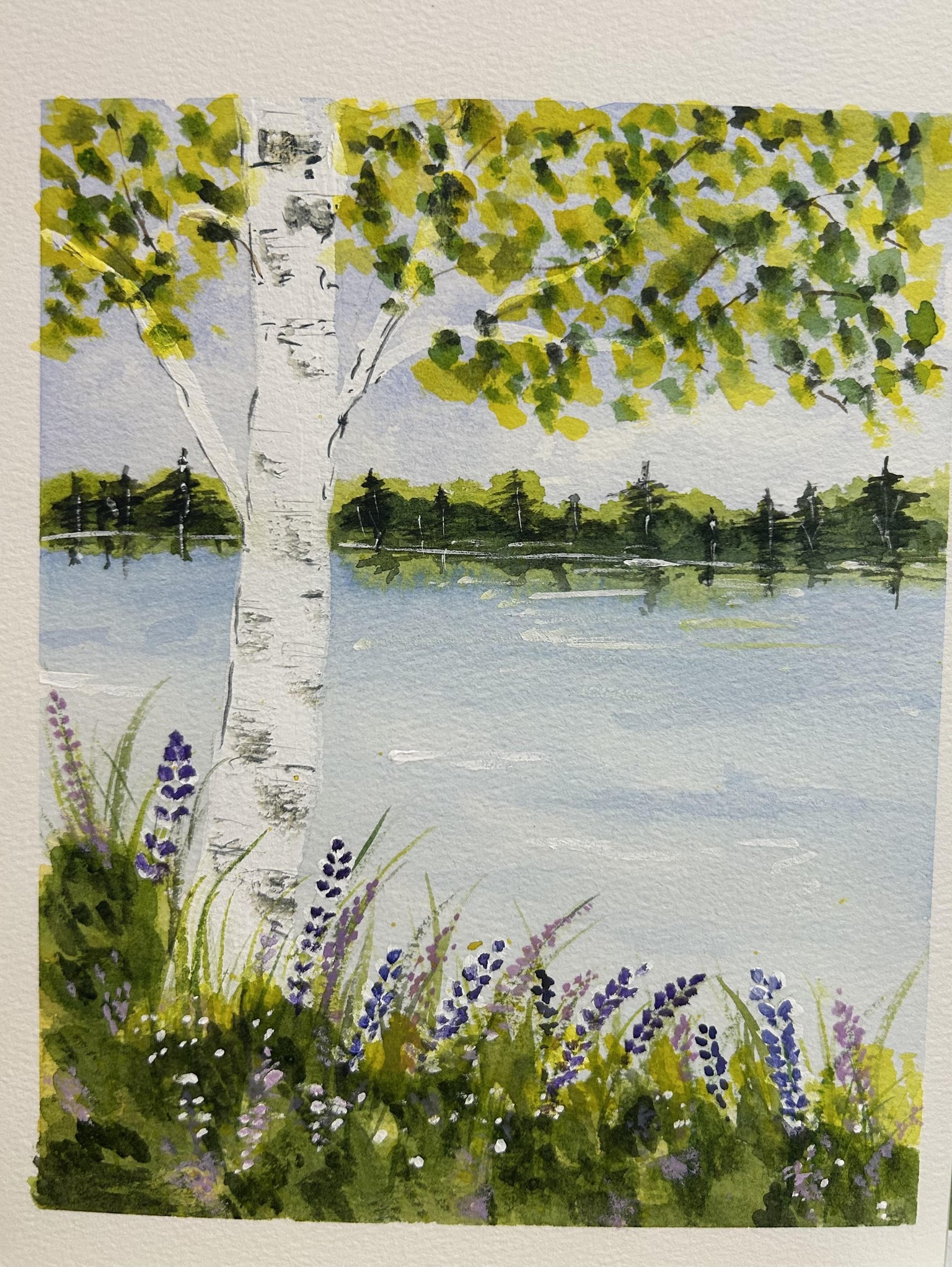 My summer Lake Birch Tree - image 1 - student project