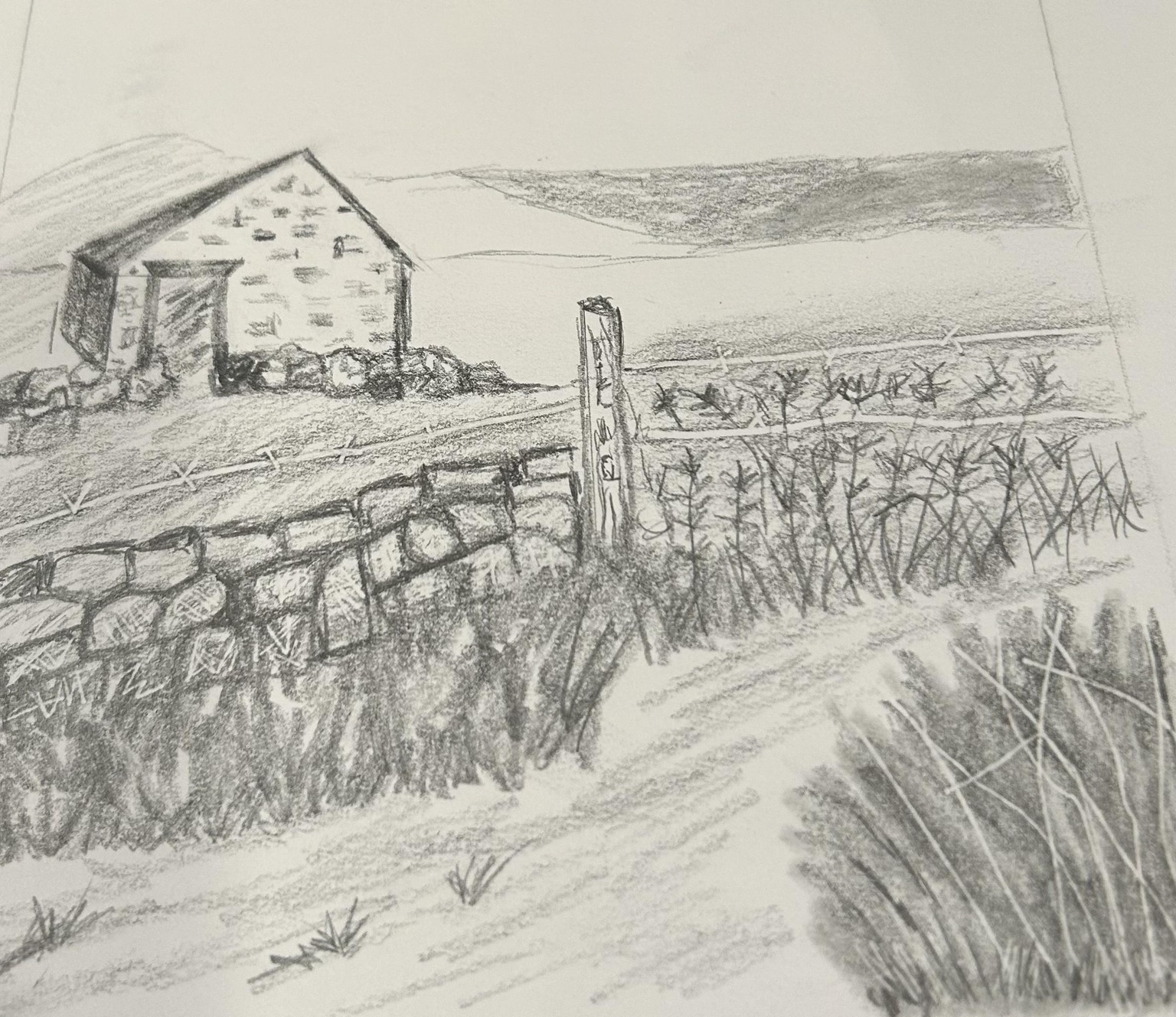 Landscapes - image 8 - student project
