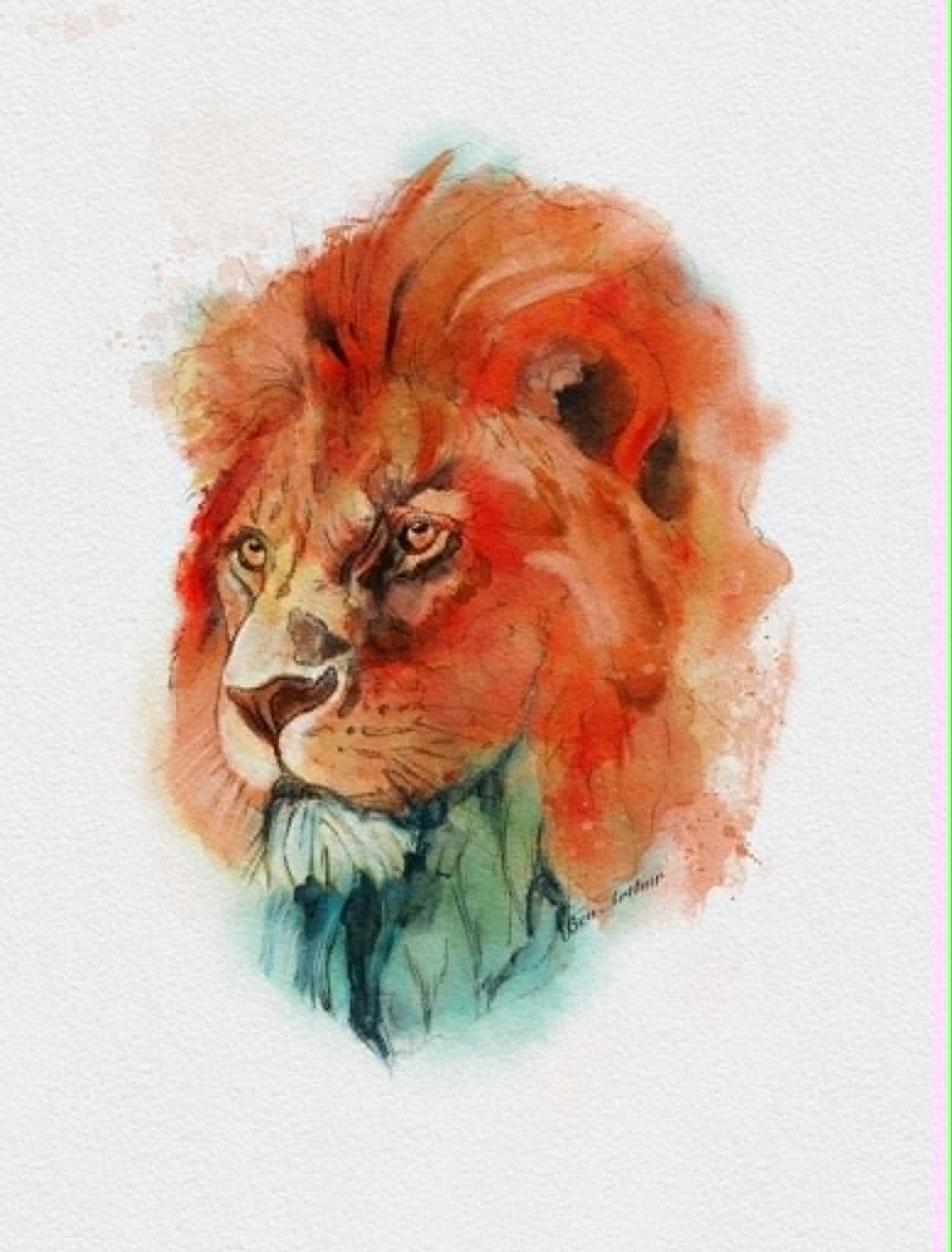 My Lion - image 1 - student project