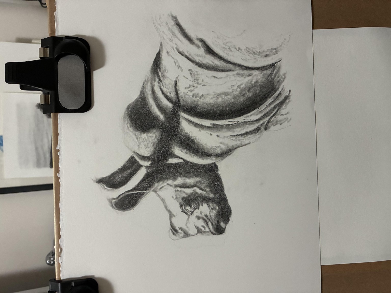 Baby Rihno in Blended Graphite - image 3 - student project