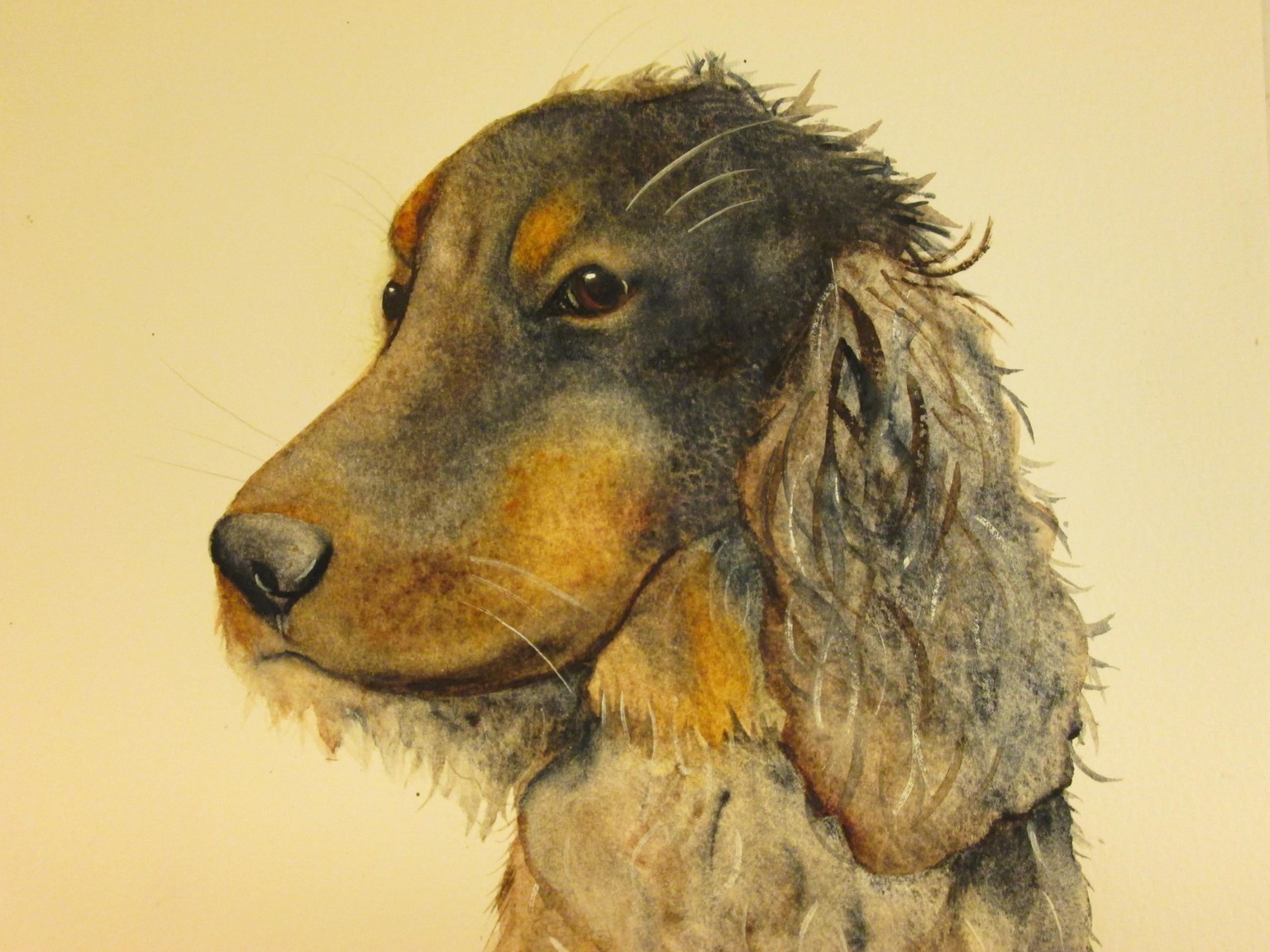 Black Dog Twig - image 4 - student project