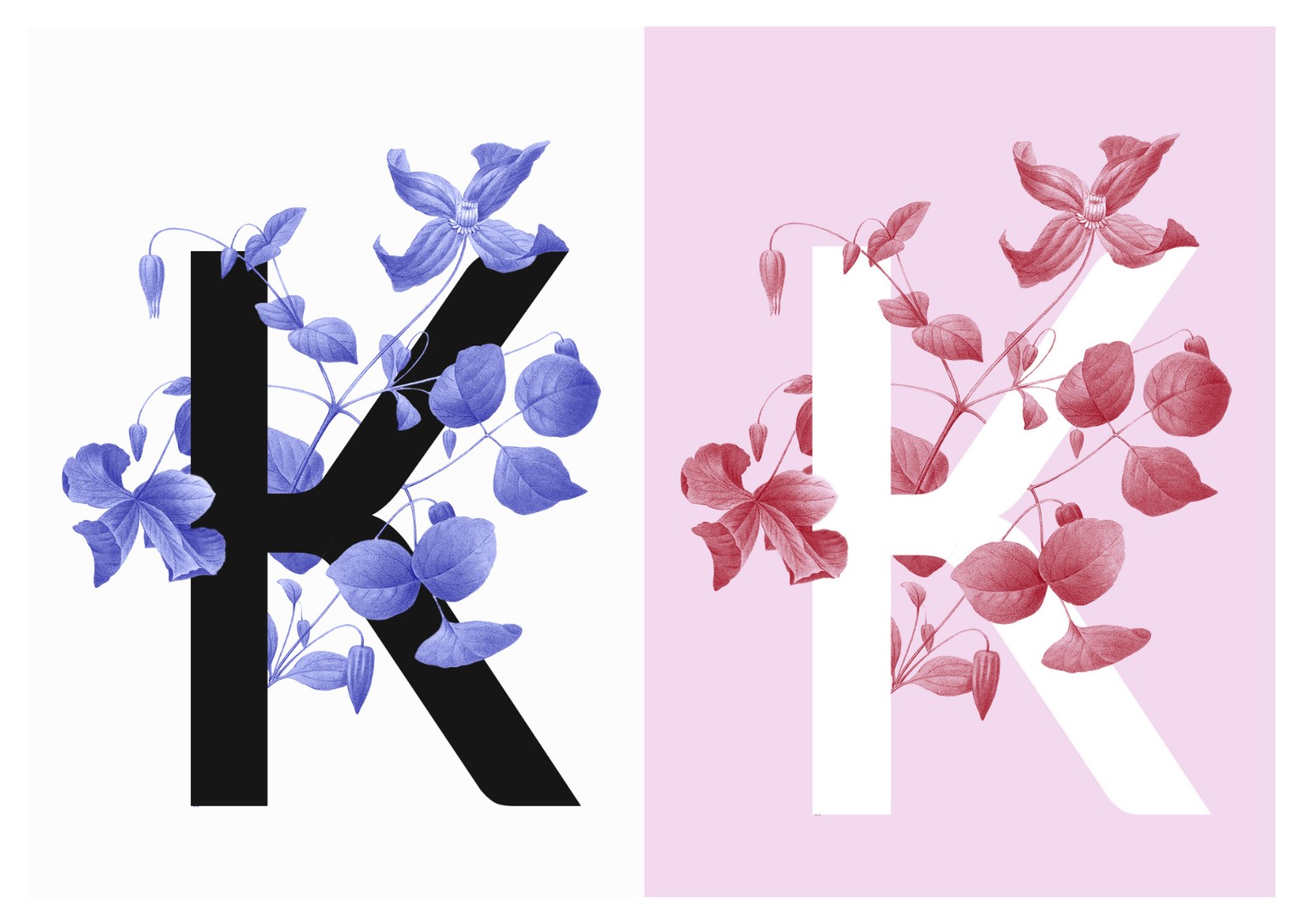 Botanical Design Exploration - image 2 - student project