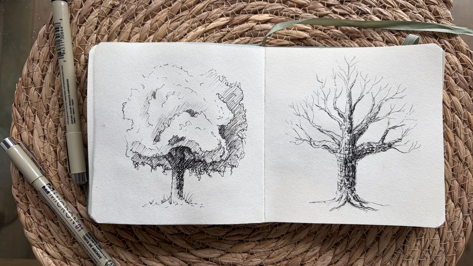 Hatching on trees - image 1 - student project