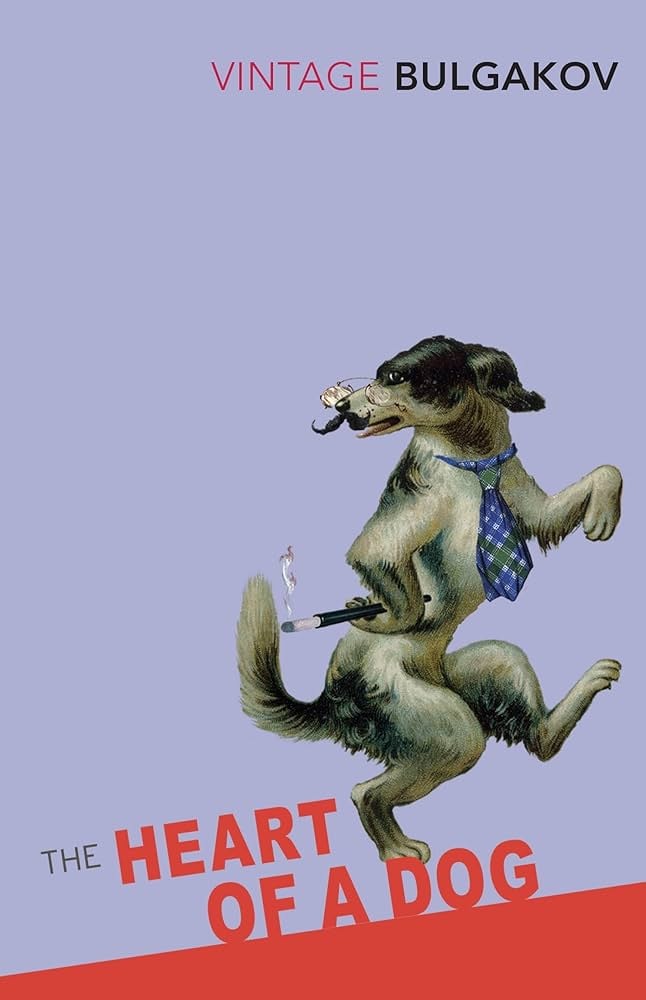 The heart of a dog redesign - image 1 - student project
