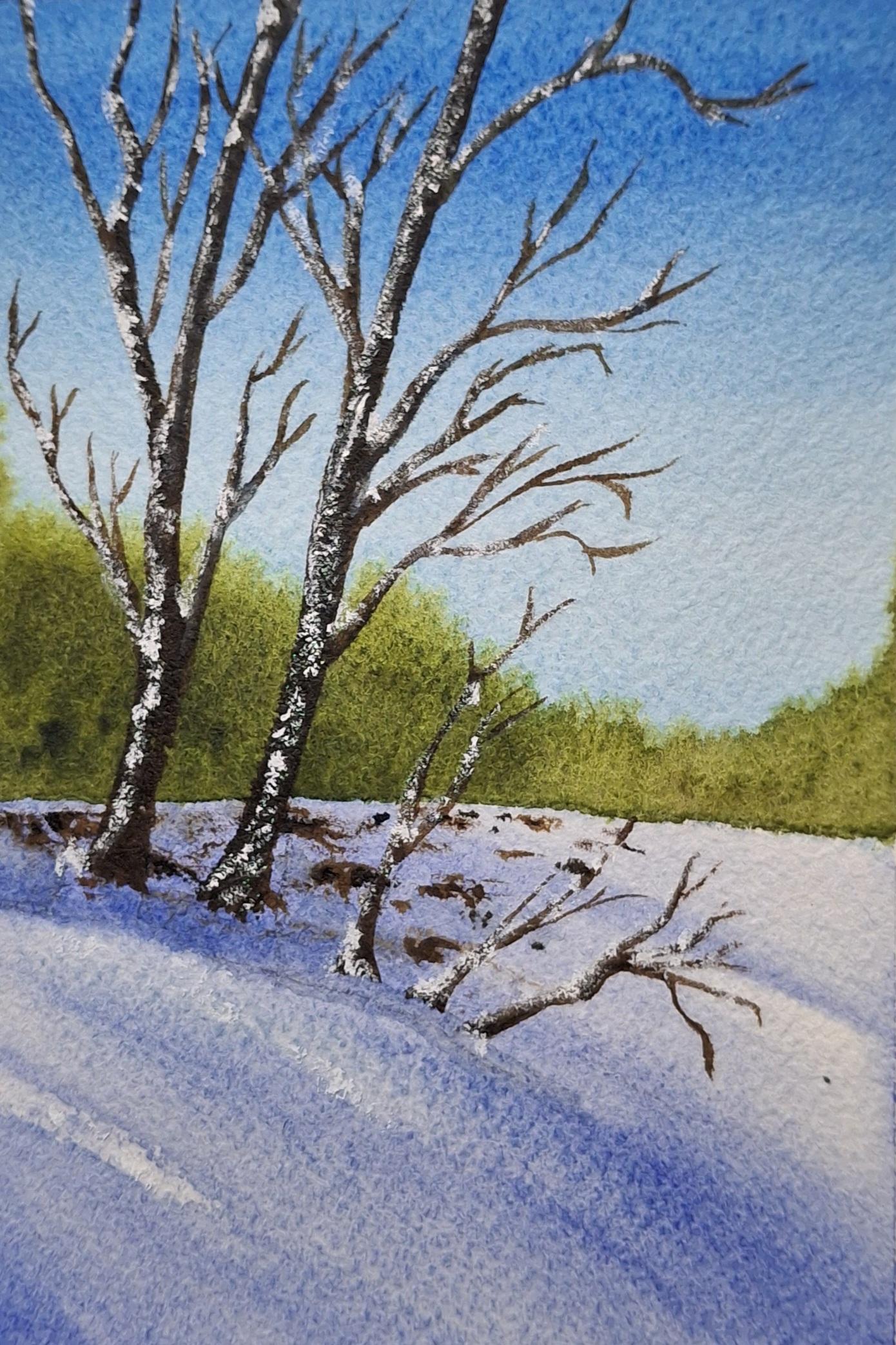 30 Winter Landscapes - image 15 - student project