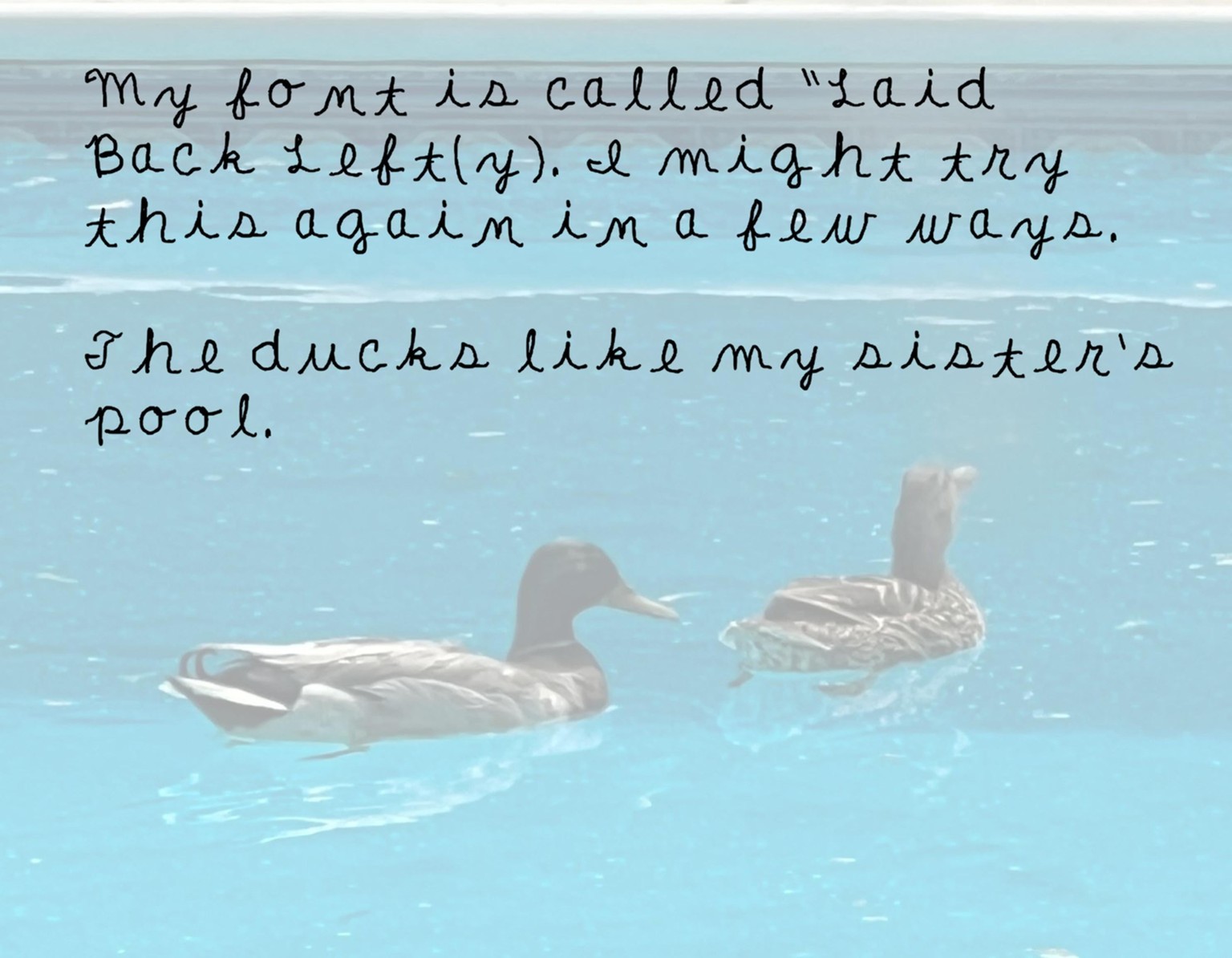 Laid Back Left(y) - image 1 - student project