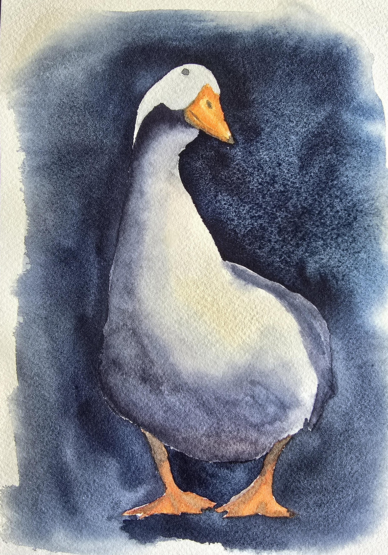 Goose steps. .. . - image 1 - student project
