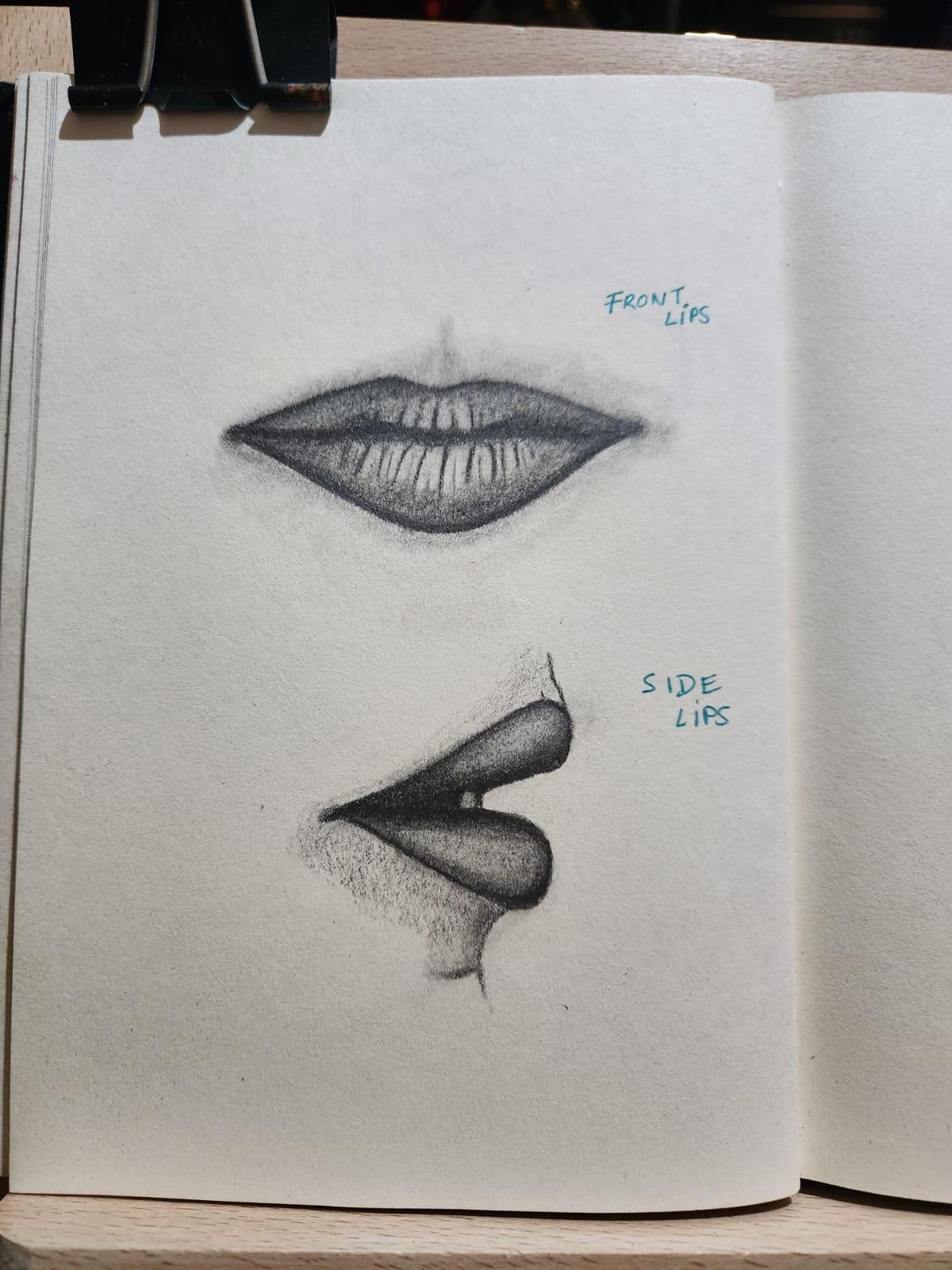 Front and side lips - image 1 - student project