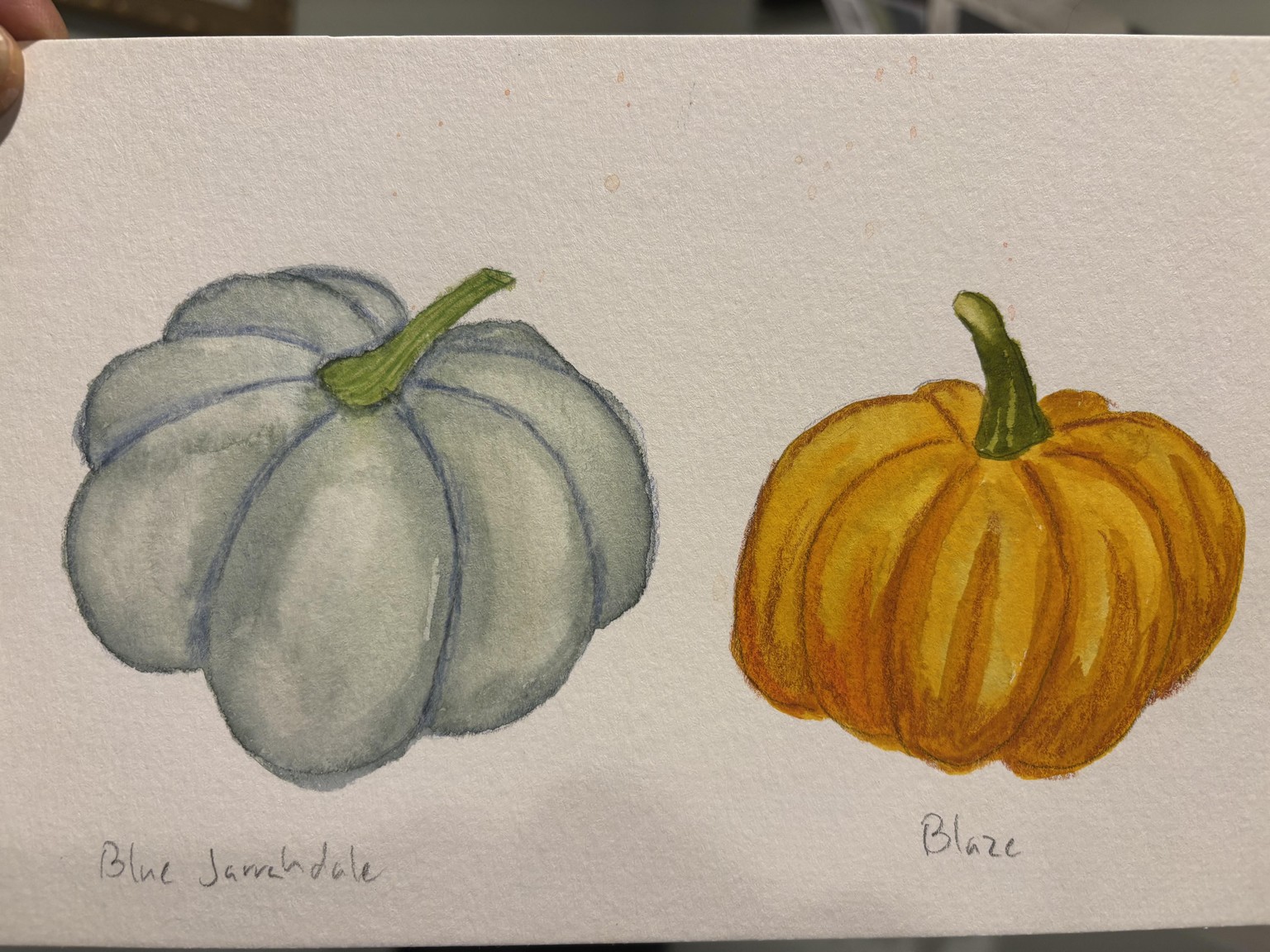 More pumpkins - image 3 - student project