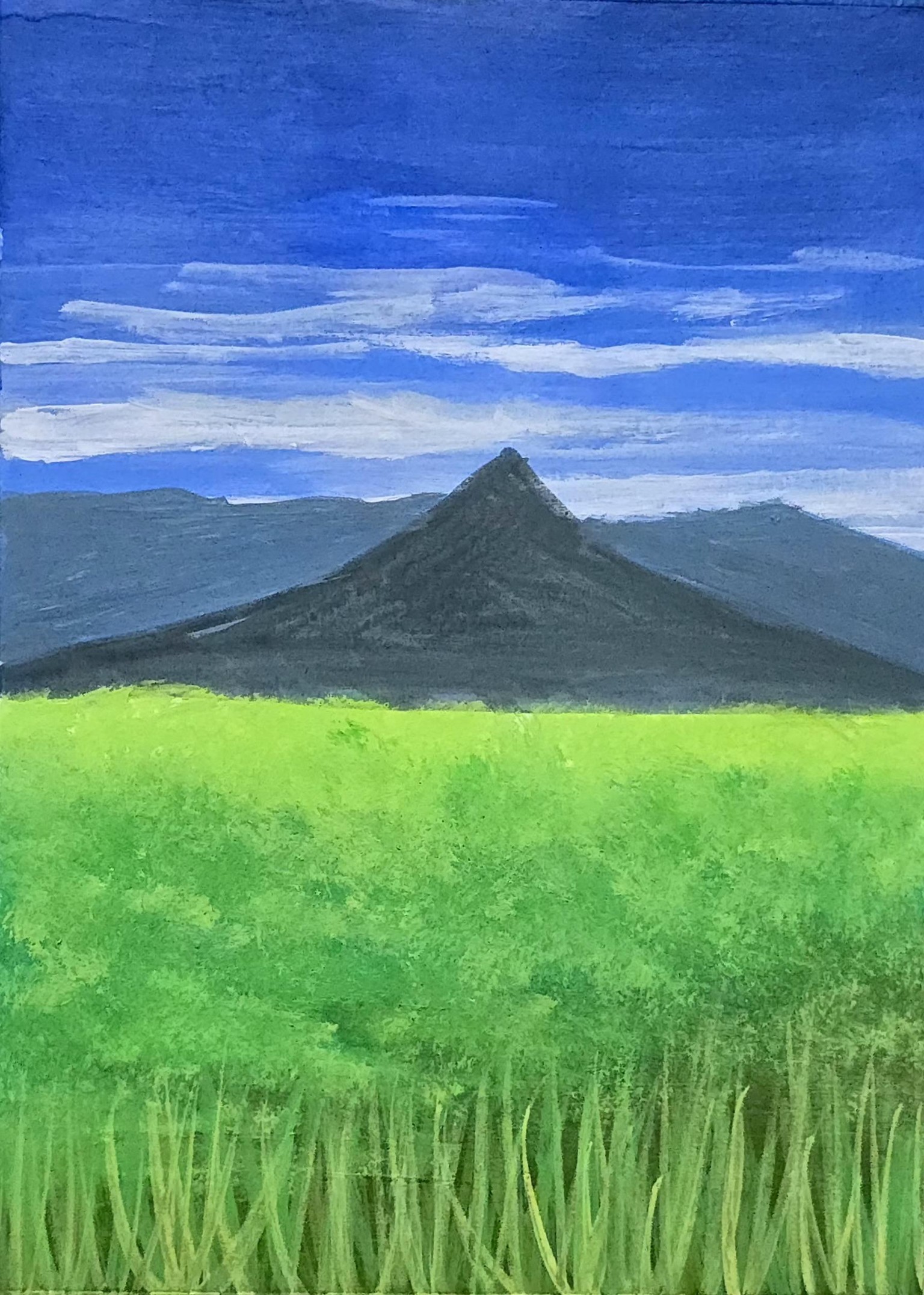 Acrylic landscapes - image 12 - student project