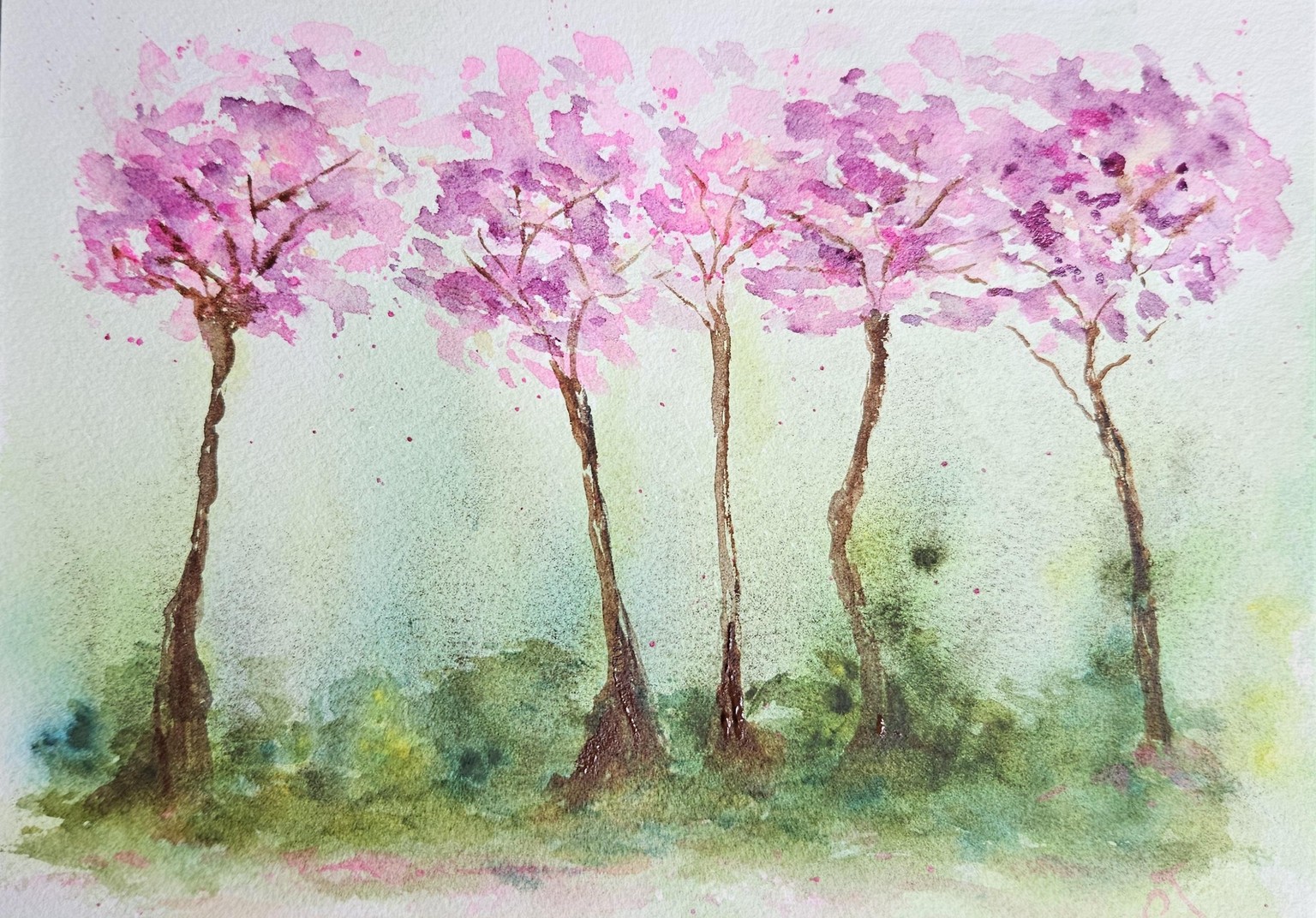Sakura cherry blossoms - image 1 - student project
